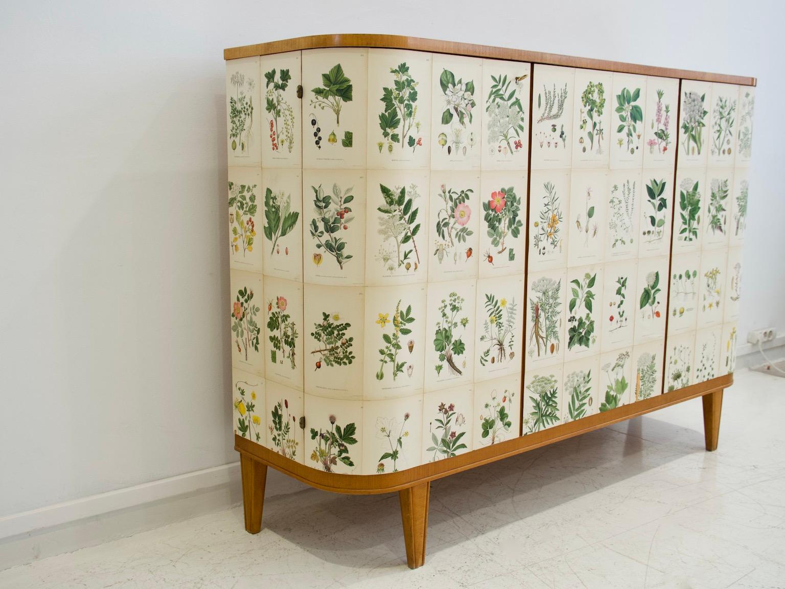 Swedish Cabinet of Elm with Nordens Flora Illustrations 6