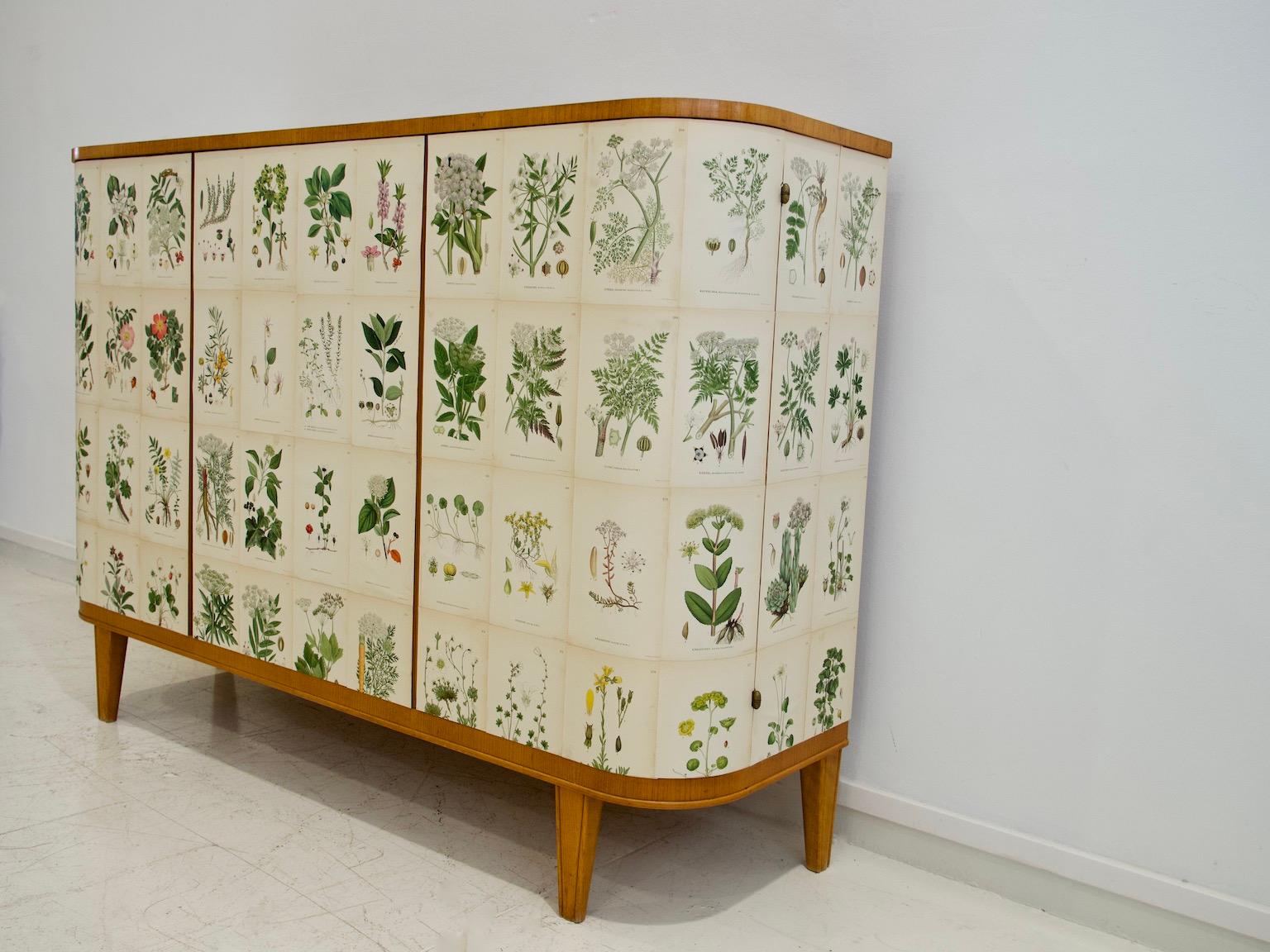 Swedish Cabinet of Elm with Nordens Flora Illustrations 7