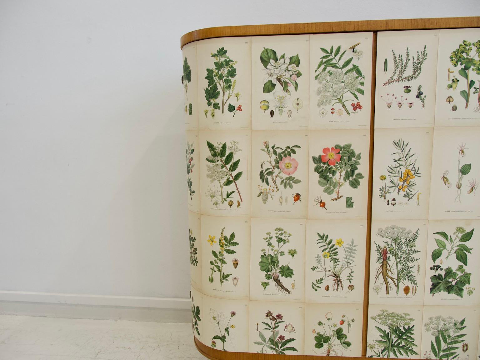 Swedish Cabinet of Elm with Nordens Flora Illustrations 8