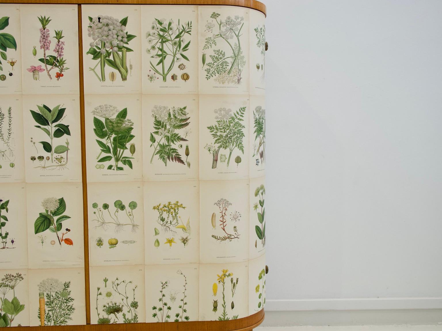 Swedish Cabinet of Elm with Nordens Flora Illustrations 10