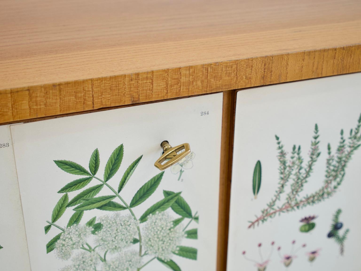 Swedish Cabinet of Elm with Nordens Flora Illustrations 12