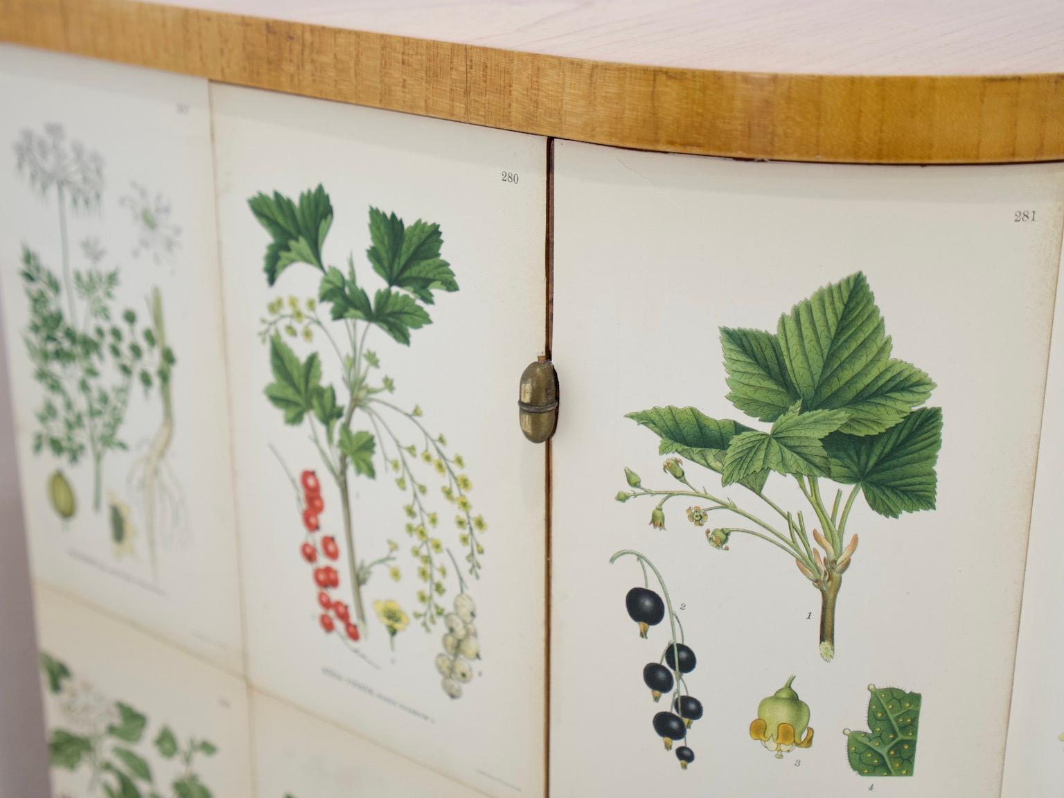 Swedish Cabinet of Elm with Nordens Flora Illustrations 13