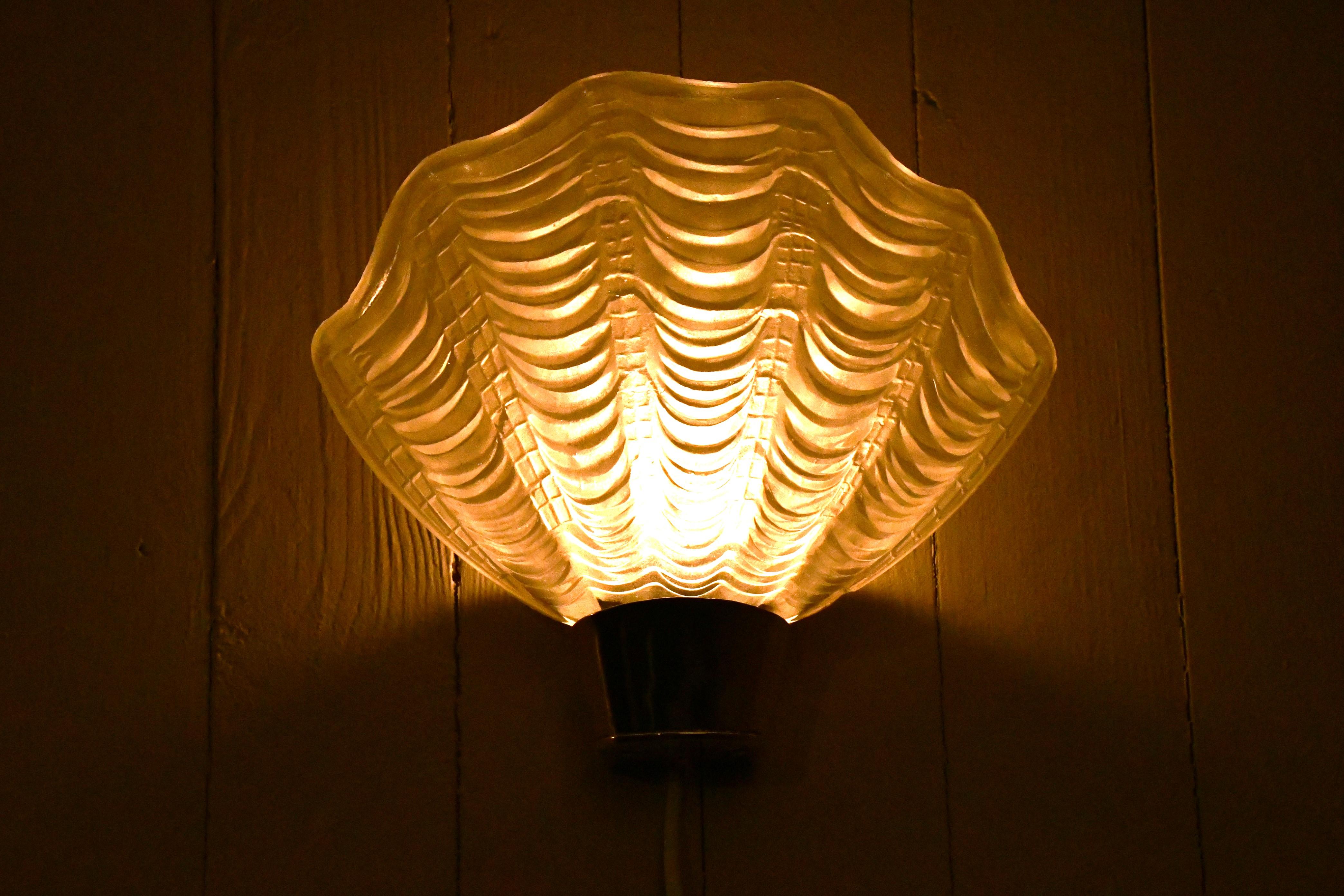 Mid-20th Century Swedish Coquille Sea Shell Wall Sconces from Asea, Late 1930s, Set of 2 For Sale
