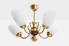 Designer svedese, lampadario, ottone, legno, vetro, Svezia, anni '1950
