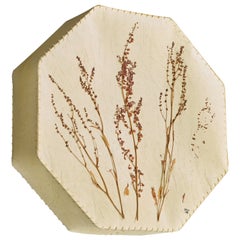 Swedish Designer, Wall Light, Parchment, Sweden, 1988