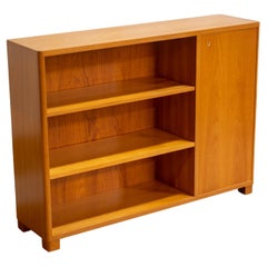 Swedish Elm Bookcase with Cabinet