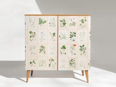 Swedish Elm Cabinet with Nordens Flora Illustrations, 1950's
