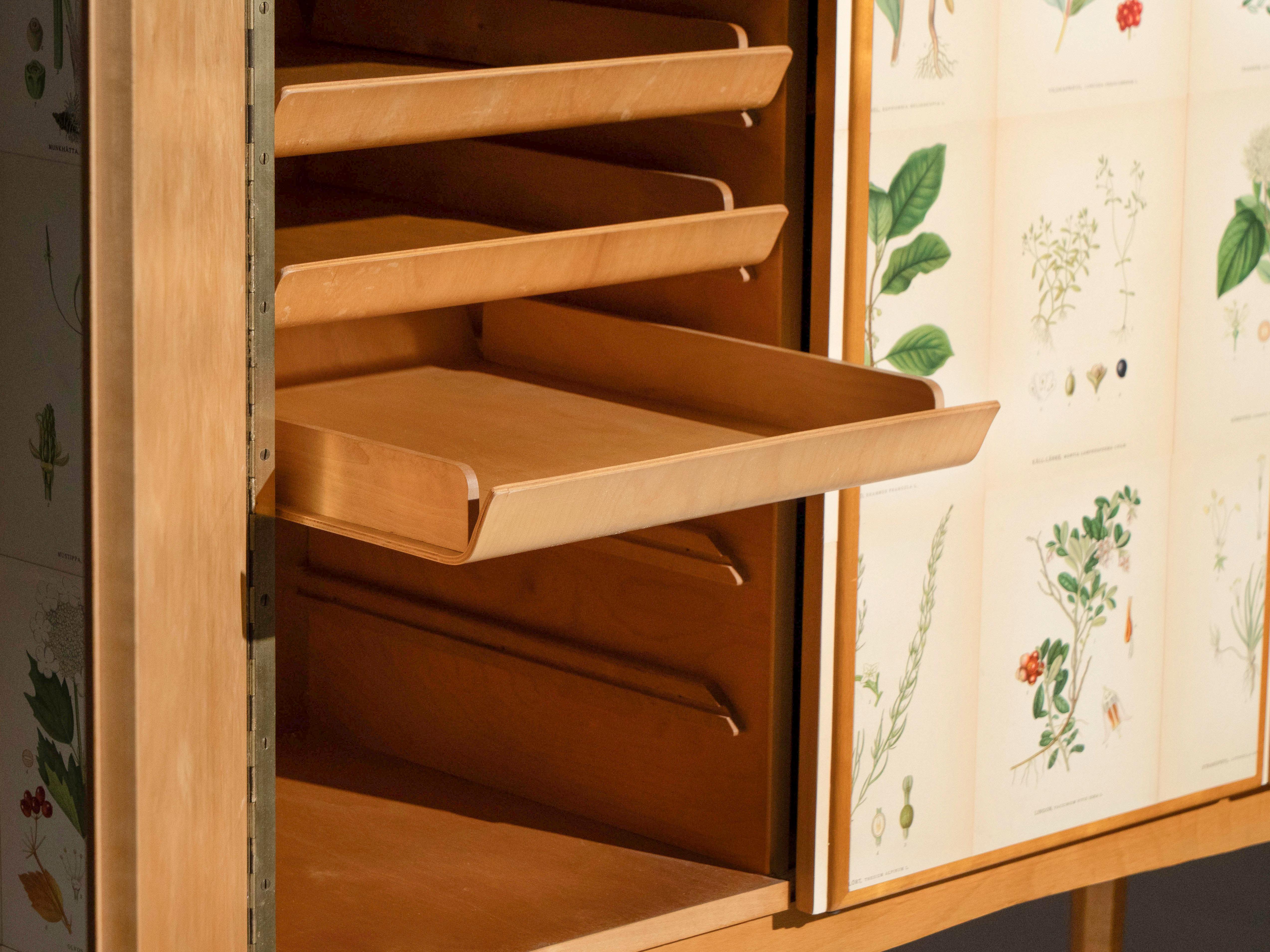 Swedish Elm Cabinet with Nordens Flora Illustrations, Josef Frank Style 5
