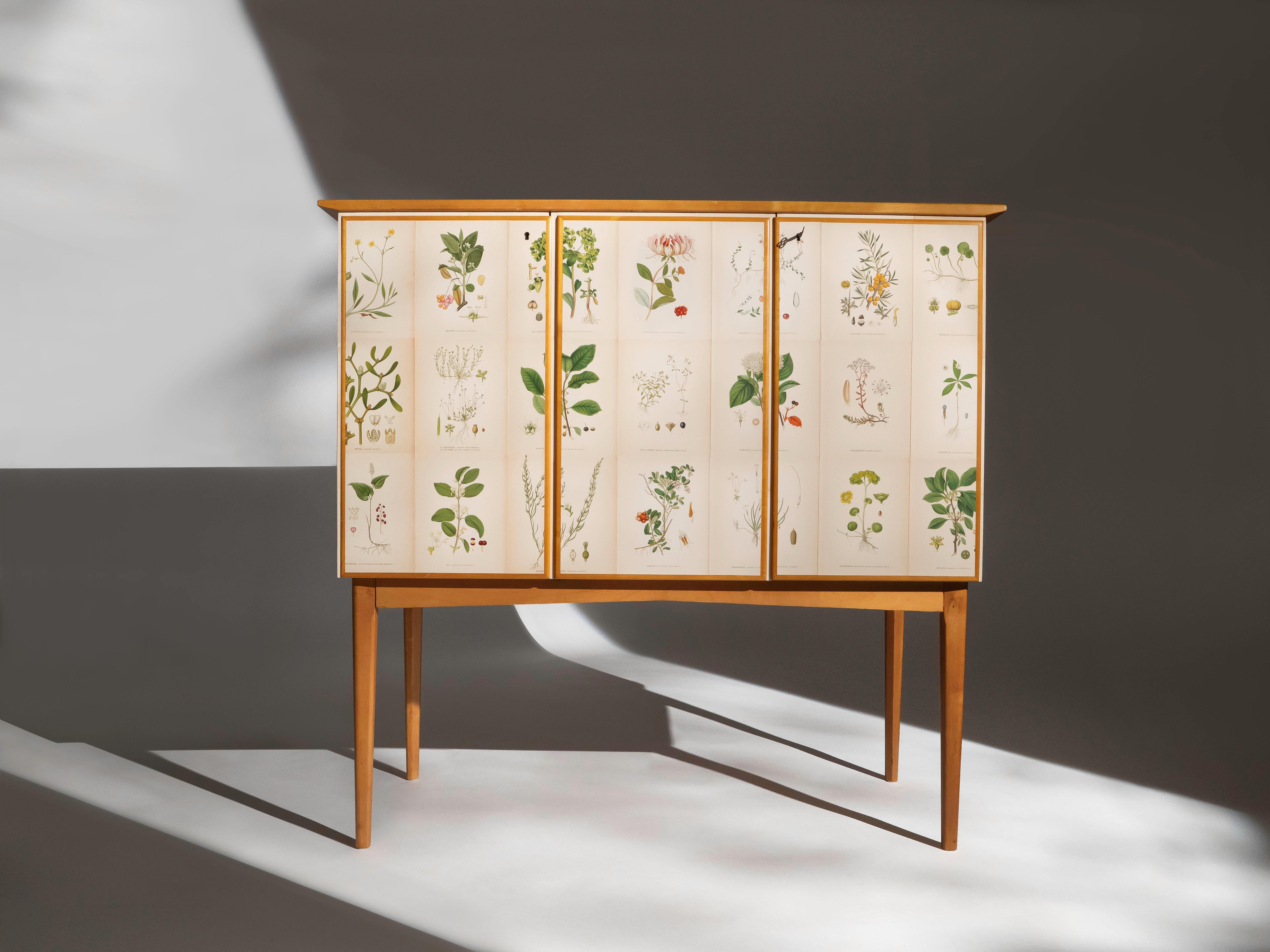 A Swedish sideboard or cabinet in Elm, circa 1950's. The cabinet is covered with early Norden's Flora Illustrations by C.A. Lindman. The cabinet has two locking doors that conceal 2 adjustable shelves and 5 pull adjustable drawers. It is