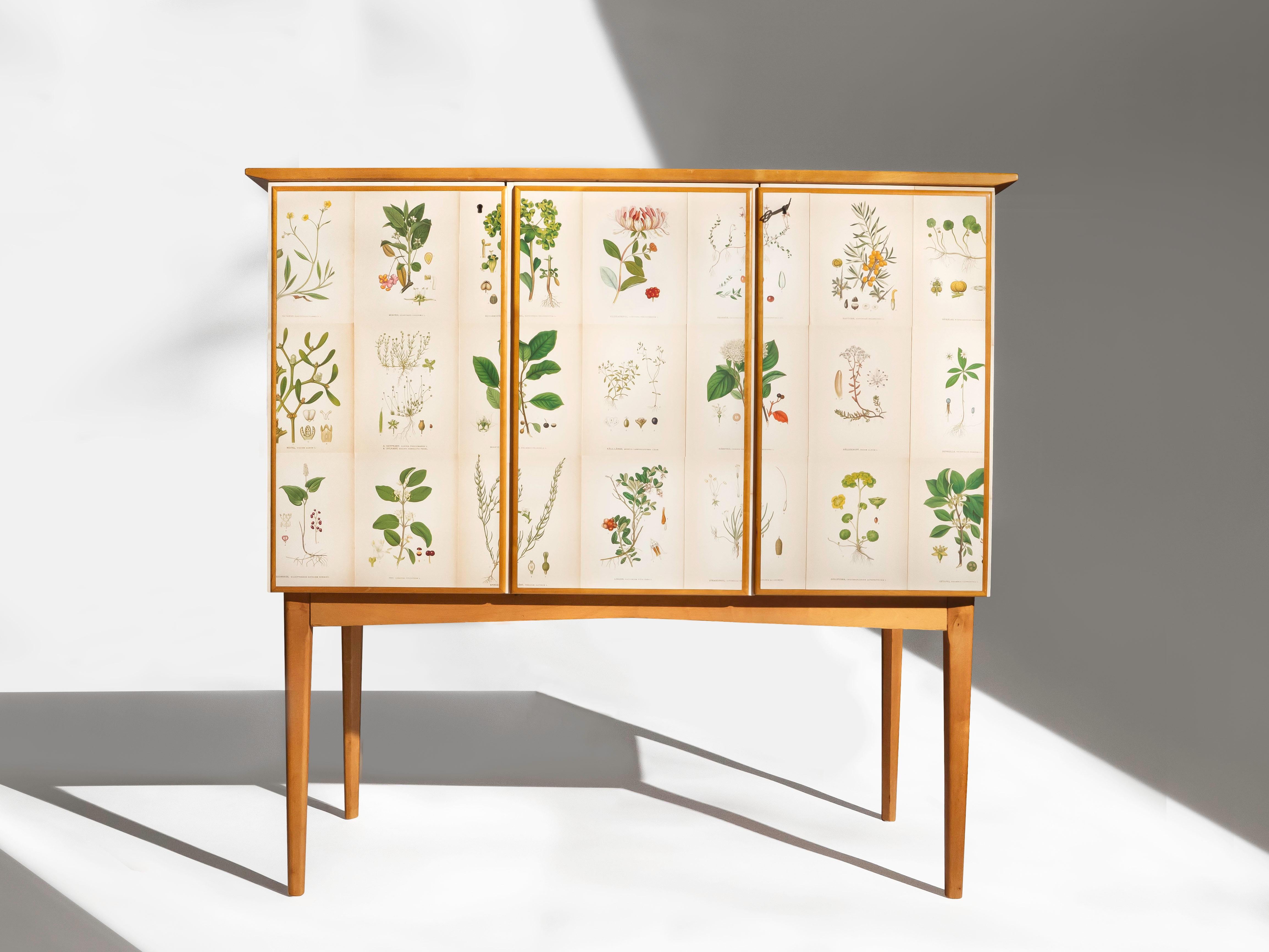 A Swedish sideboard or cabinet in Elm, circa 1950's. The cabinet is covered with early Norden's Flora Illustrations by C.A. Lindman. The cabinet has two locking doors that conceal 2 adjustable shelves and 5 pull adjustable drawers. It is
