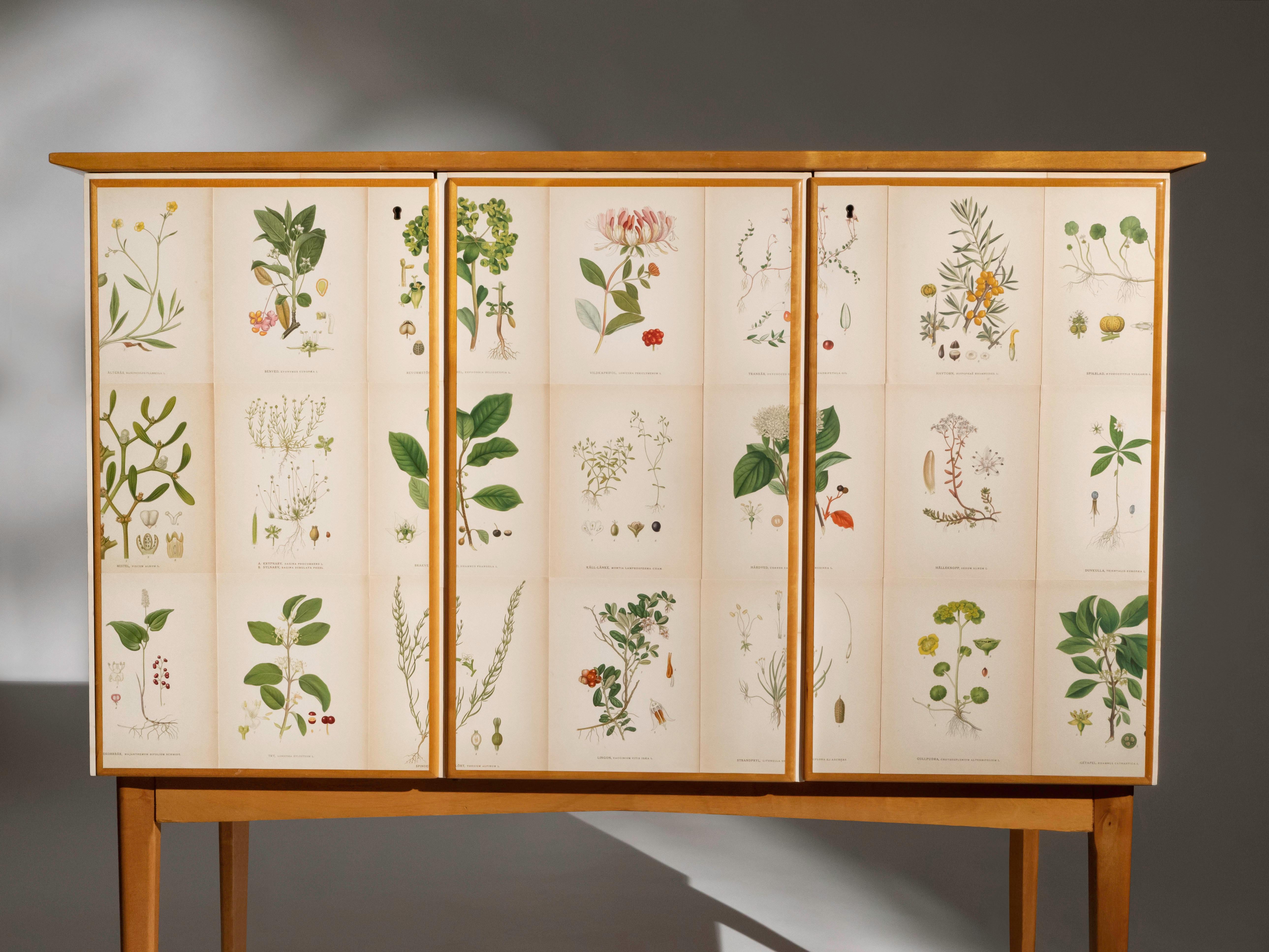 Swedish Elm Cabinet with Nordens Flora Illustrations, Josef Frank Style Escandinavo moderno en venta