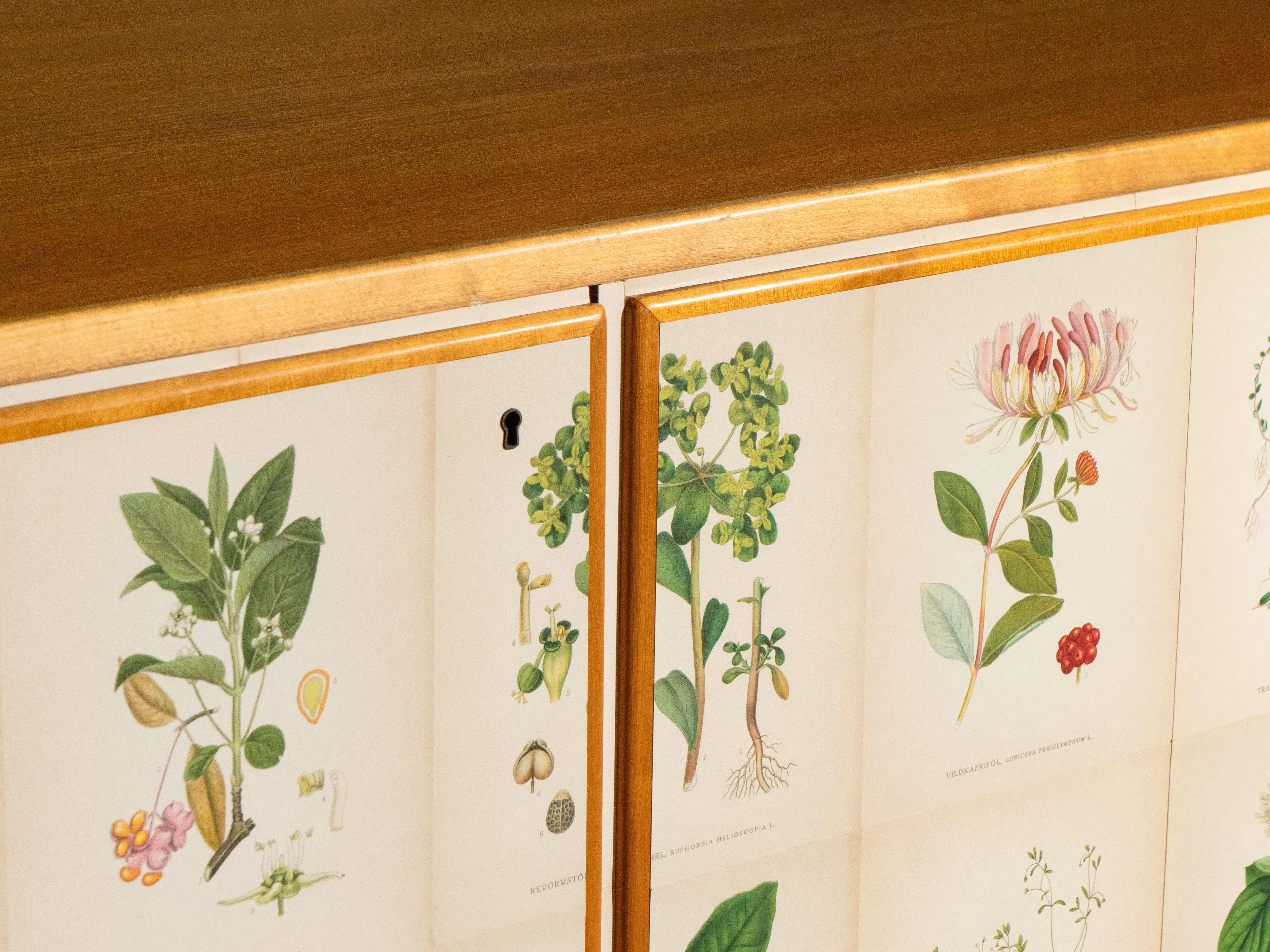 Scandinavian Modern Swedish Elm Cabinet with Nordens Flora Illustrations, Josef Frank Style