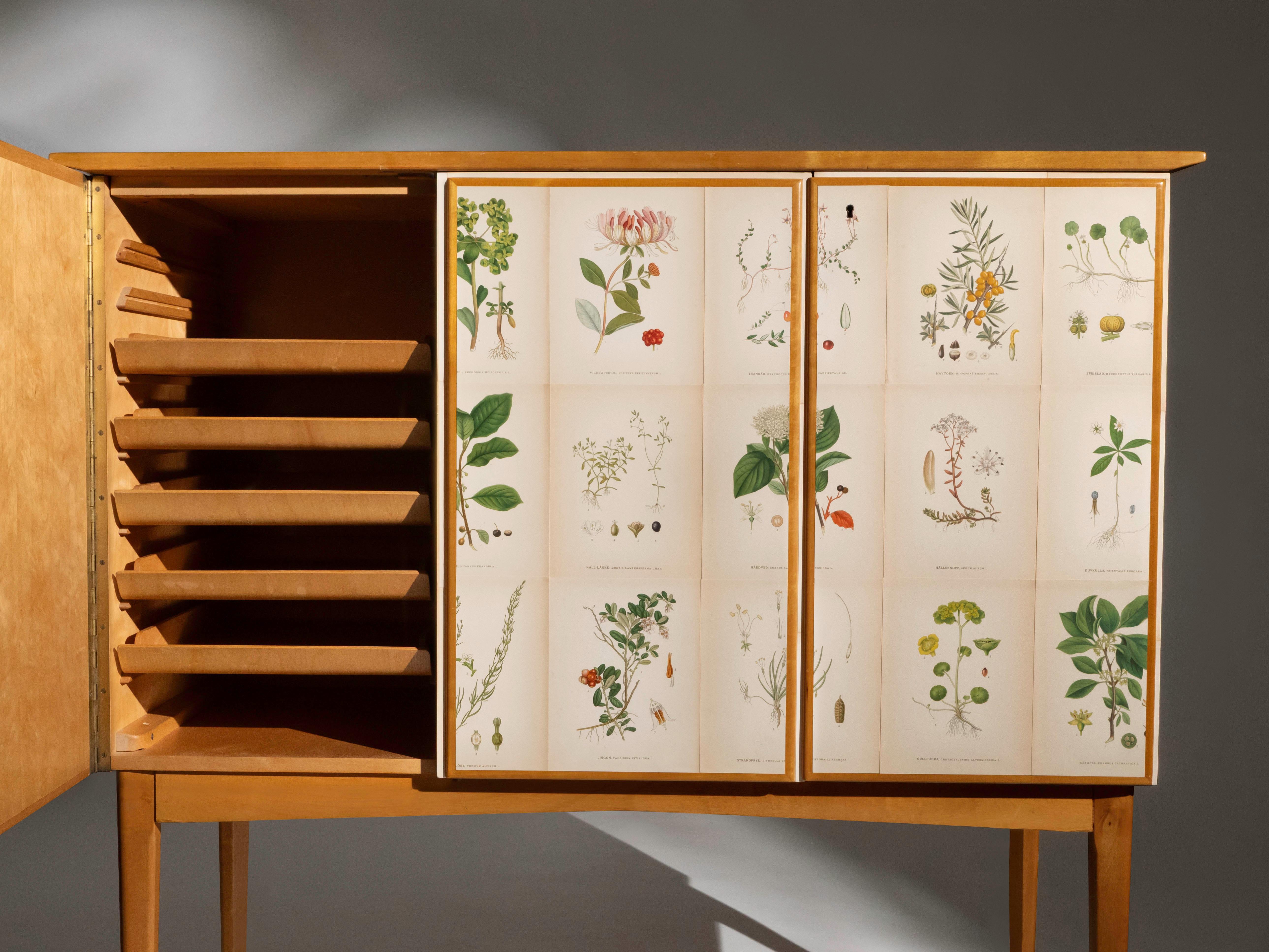 Swedish Elm Cabinet with Nordens Flora Illustrations, Josef Frank Style Sueco en venta