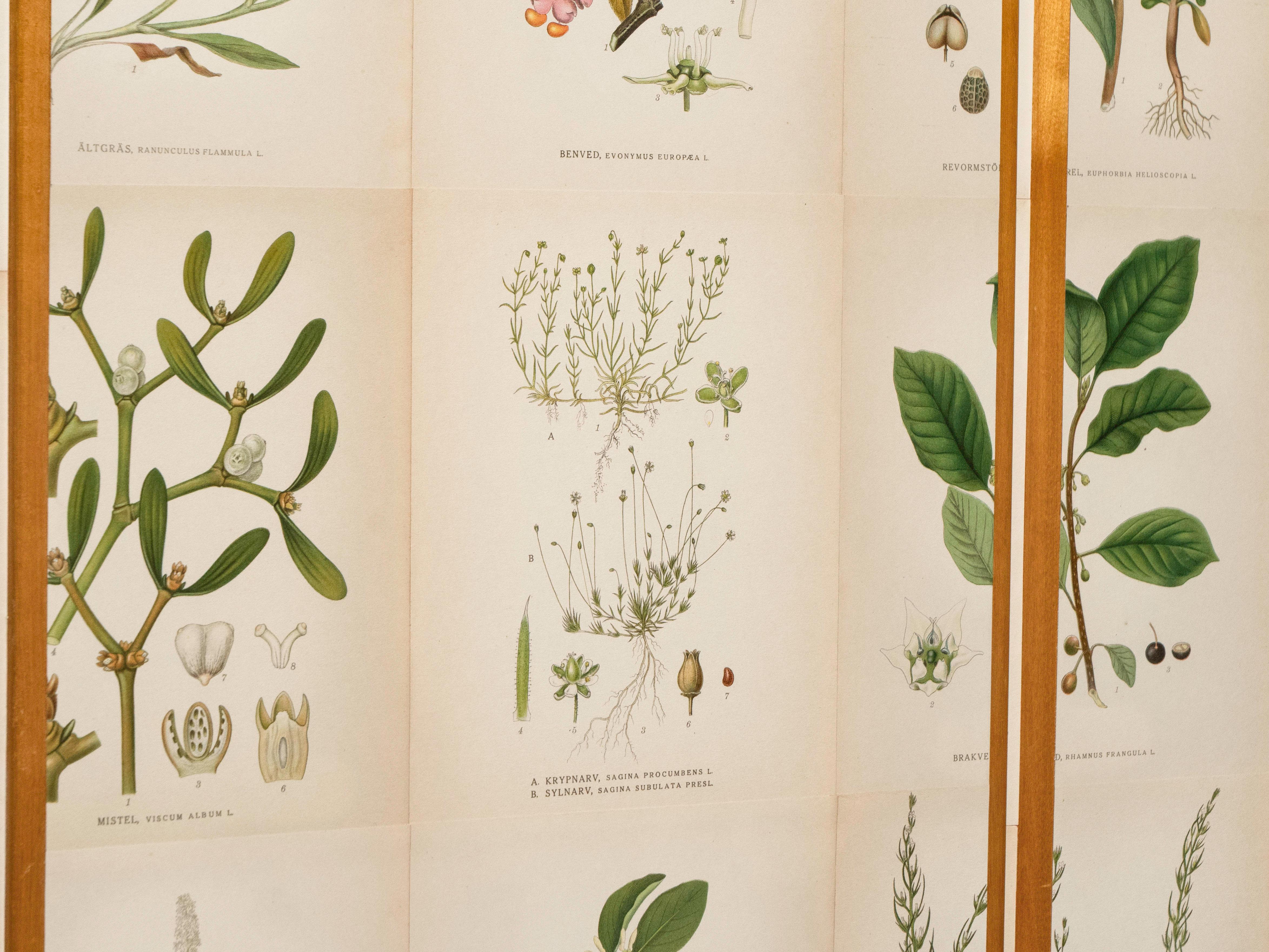 Swedish Elm Cabinet with Nordens Flora Illustrations, Josef Frank Style In Good Condition In Los Angeles, CA