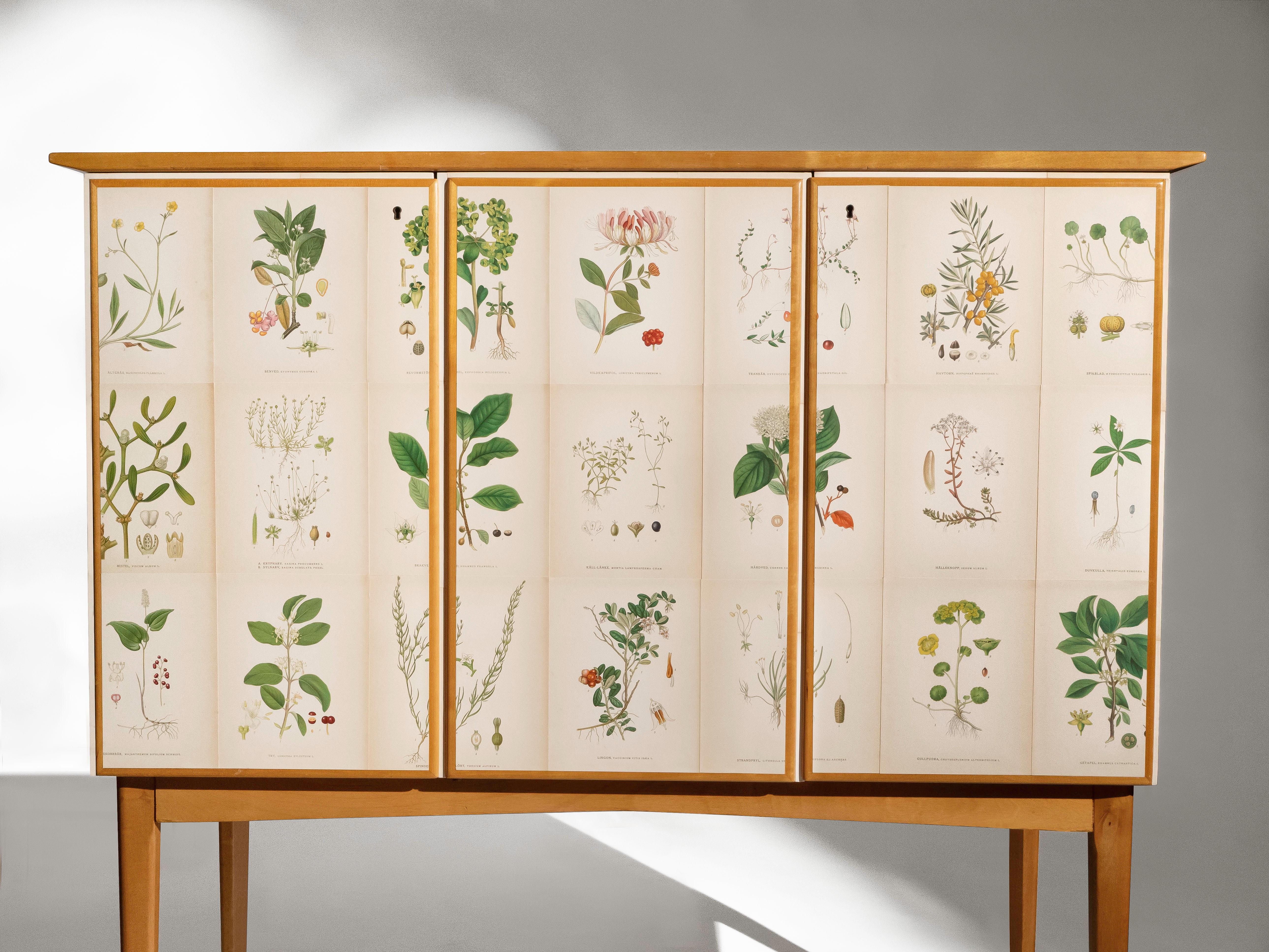 20th Century Swedish Elm Cabinet with Nordens Flora Illustrations, Josef Frank Style
