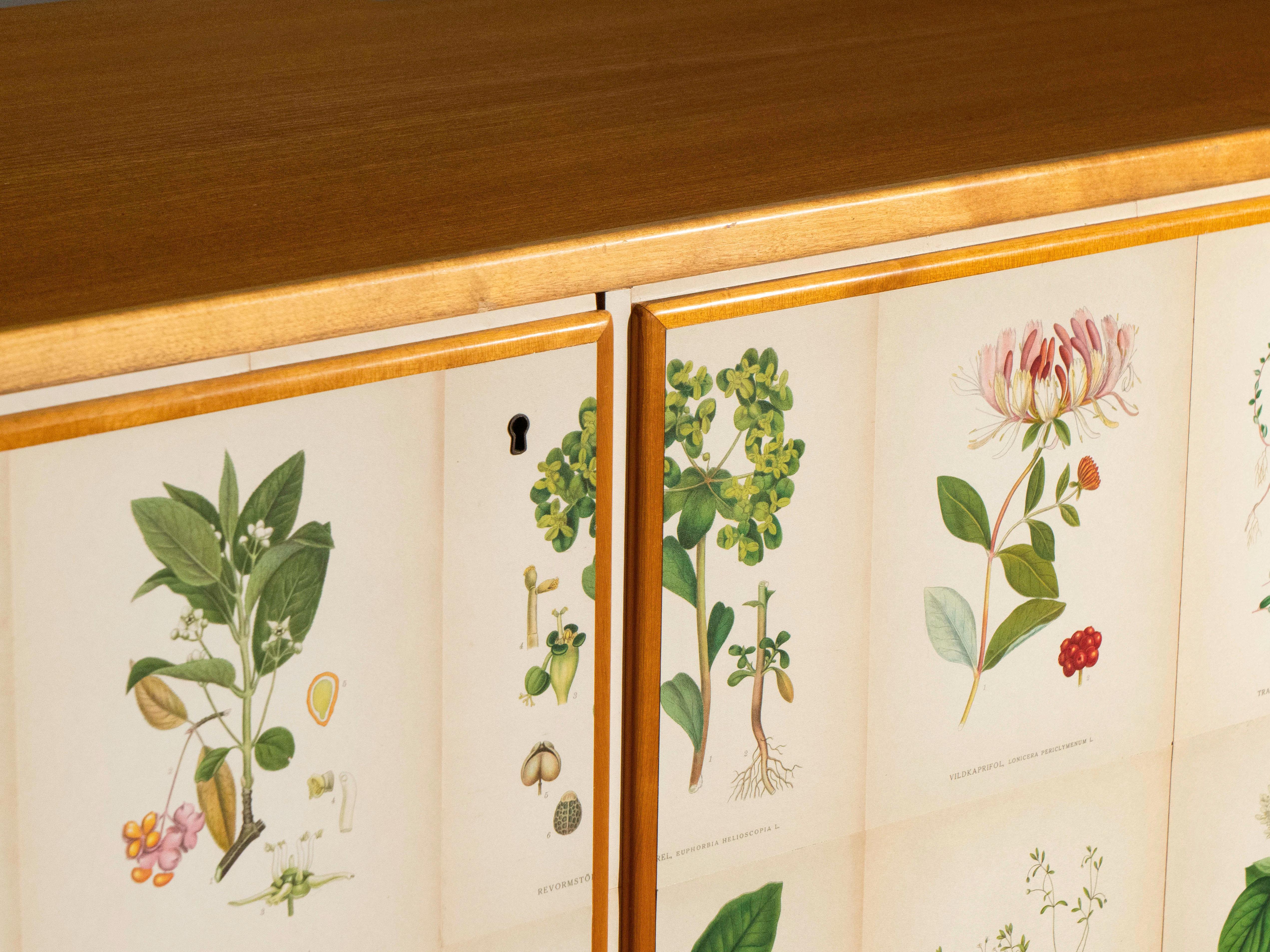 Swedish Elm Cabinet with Nordens Flora Illustrations, Josef Frank Style siglo XX en venta