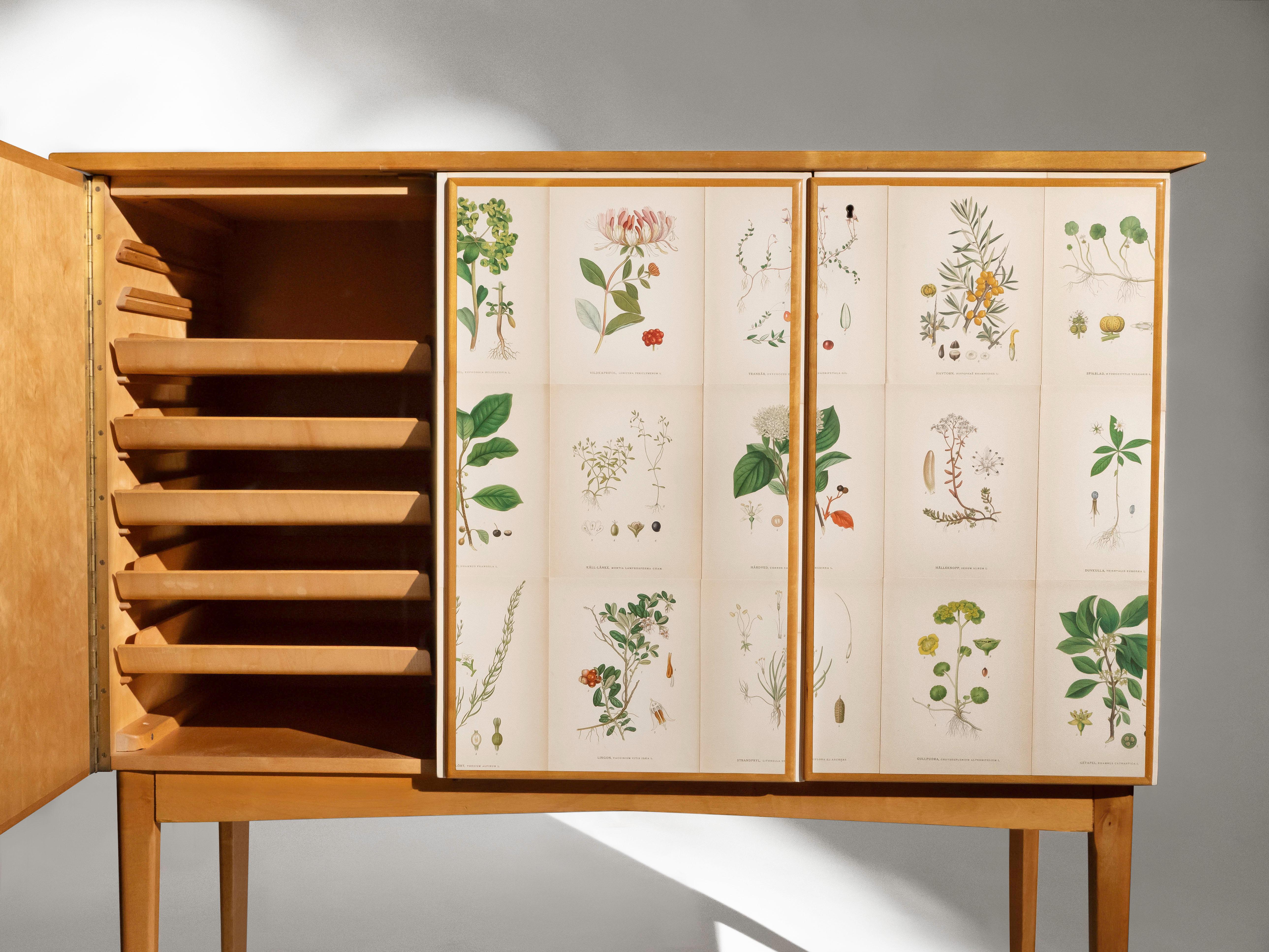 Swedish Elm Cabinet with Nordens Flora Illustrations, Josef Frank Style 1