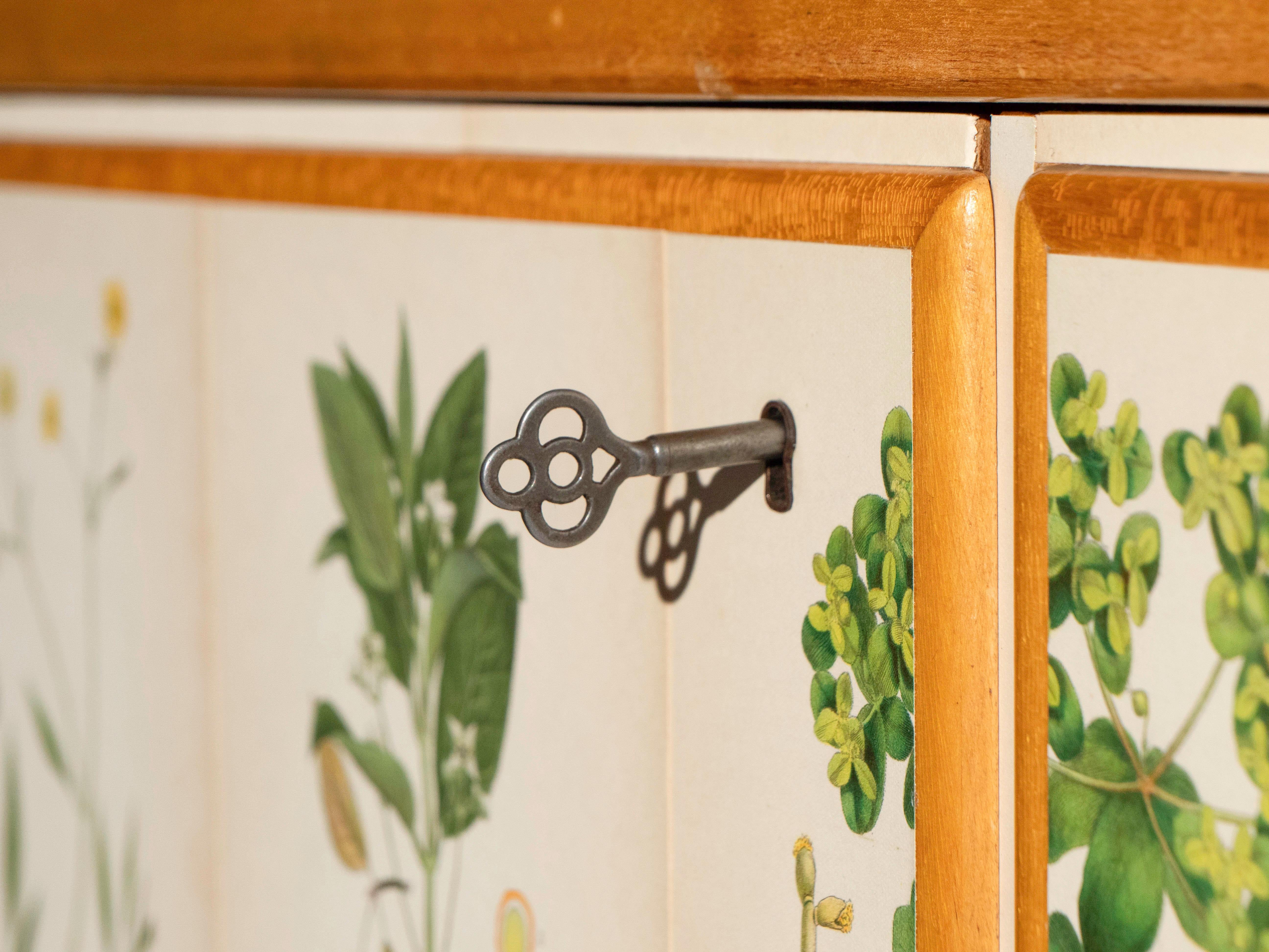 Swedish Elm Cabinet with Nordens Flora Illustrations, Josef Frank Style Olmo en venta