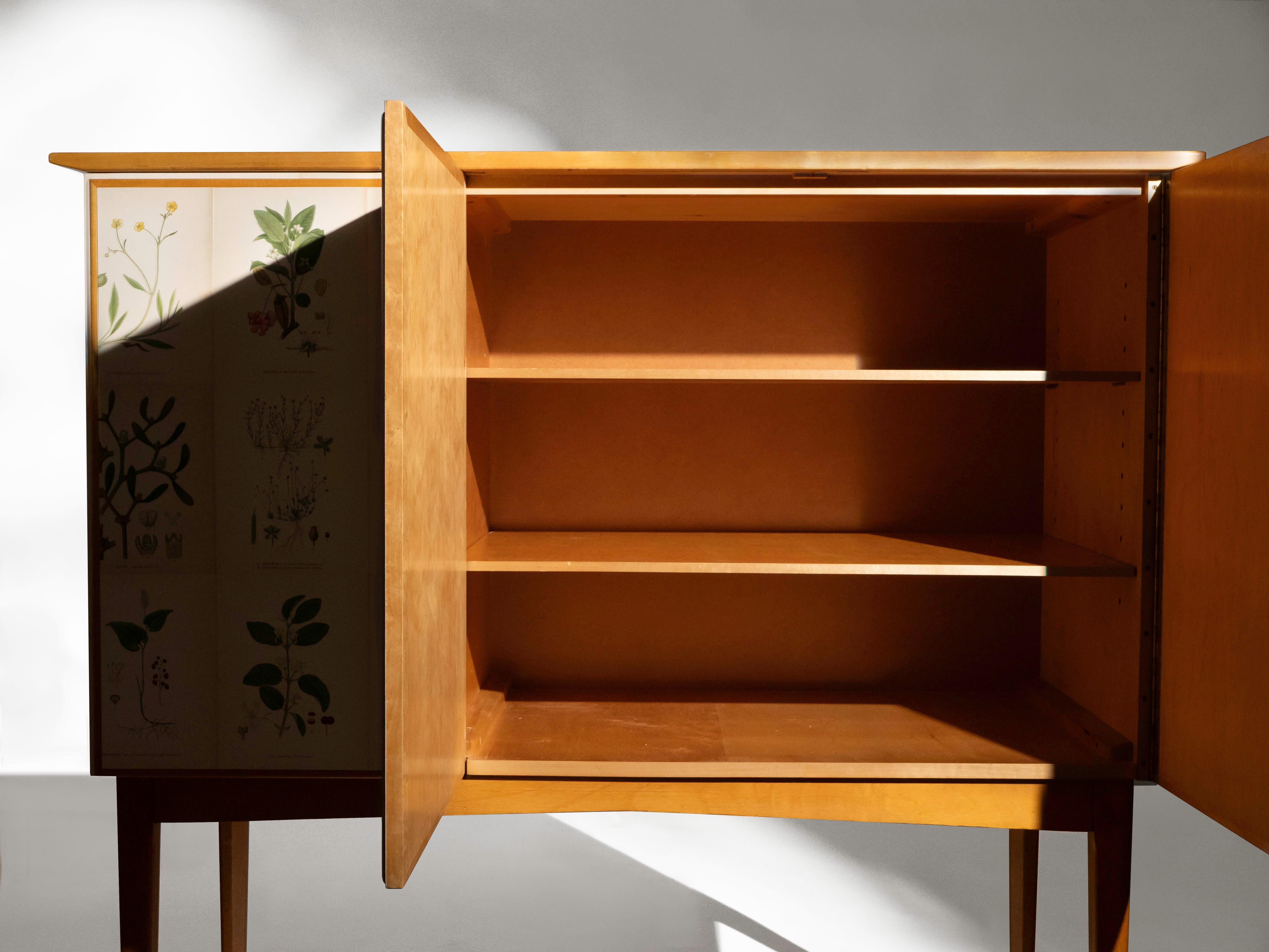 Swedish Elm Cabinet with Nordens Flora Illustrations, Josef Frank Style 2