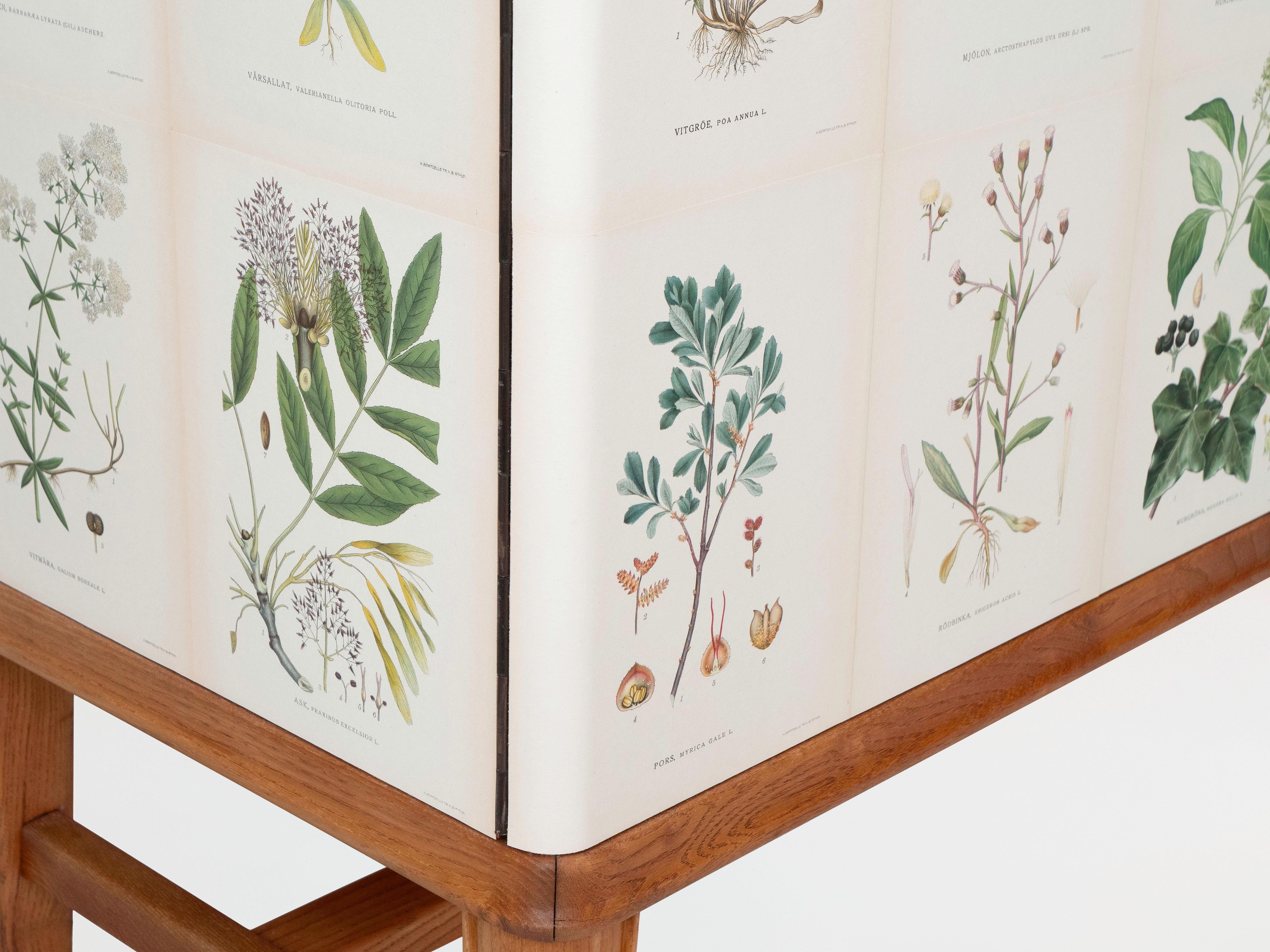 Swedish Elm Cabinet with Nordens Flora Illustrations, Josef Frank Style 4