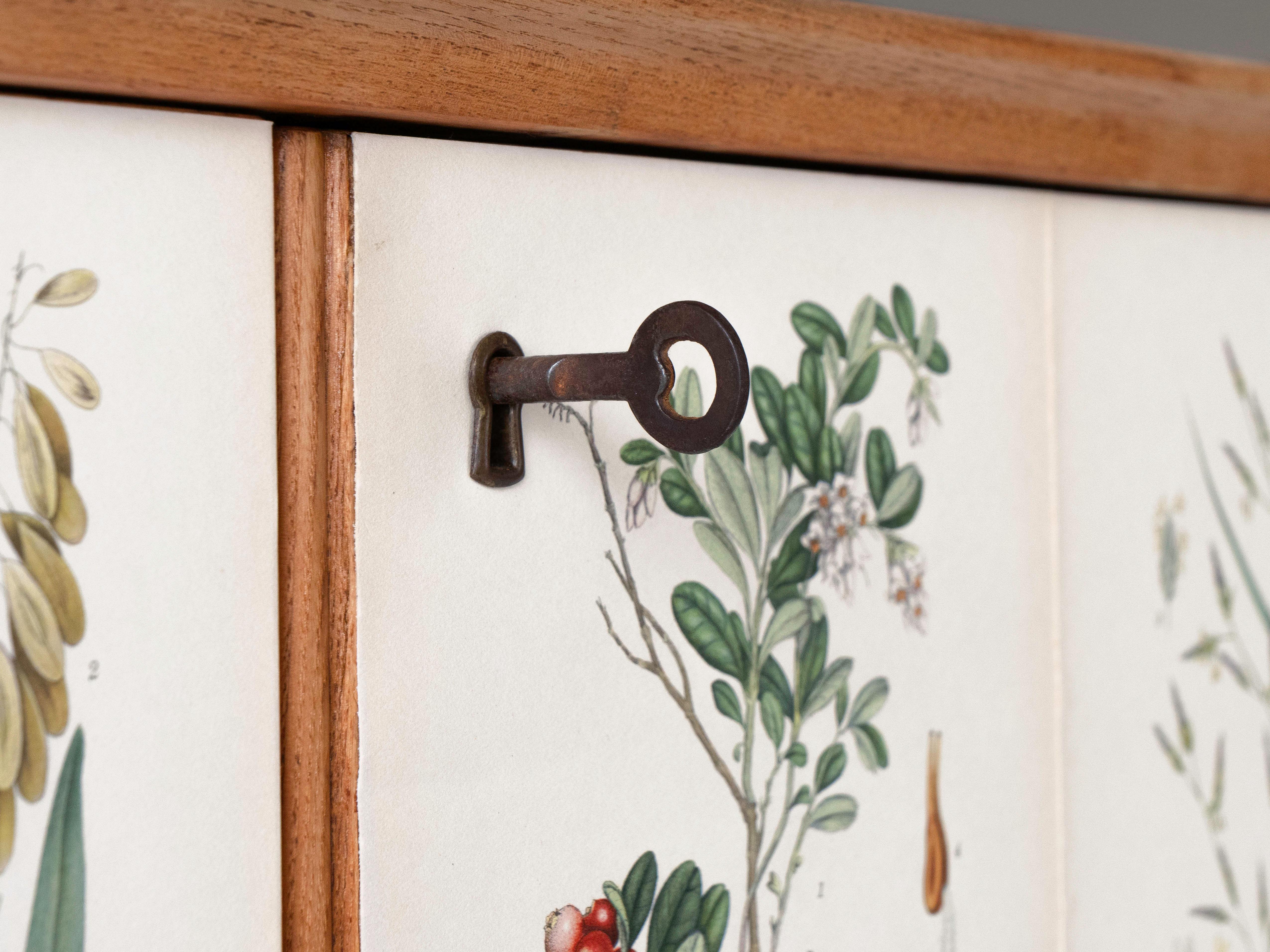 Swedish Elm Cabinet with Nordens Flora Illustrations, Josef Frank Style 5