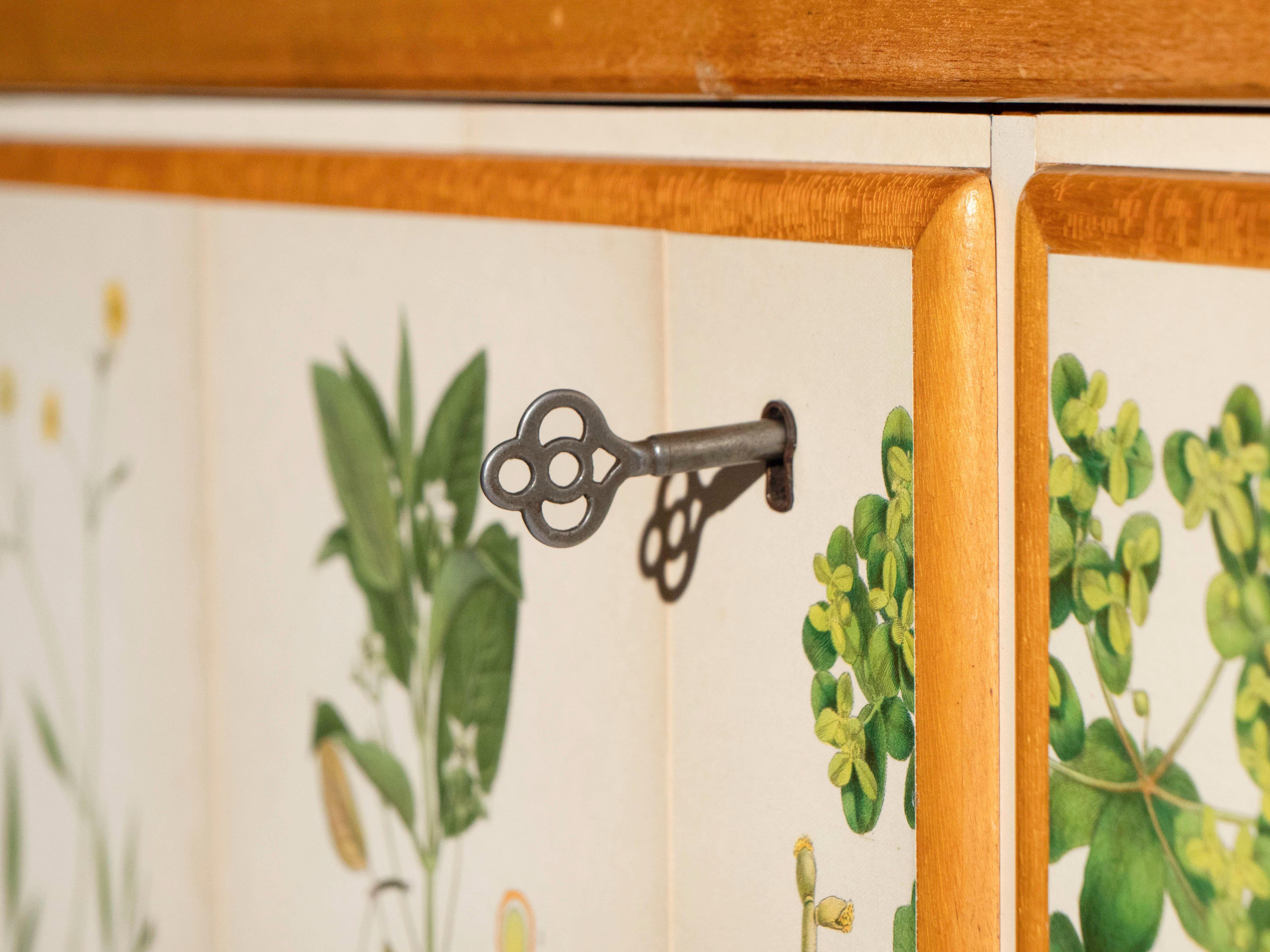 Swedish Elm Cabinet with Nordens Flora Illustrations, Josef Frank Style 4