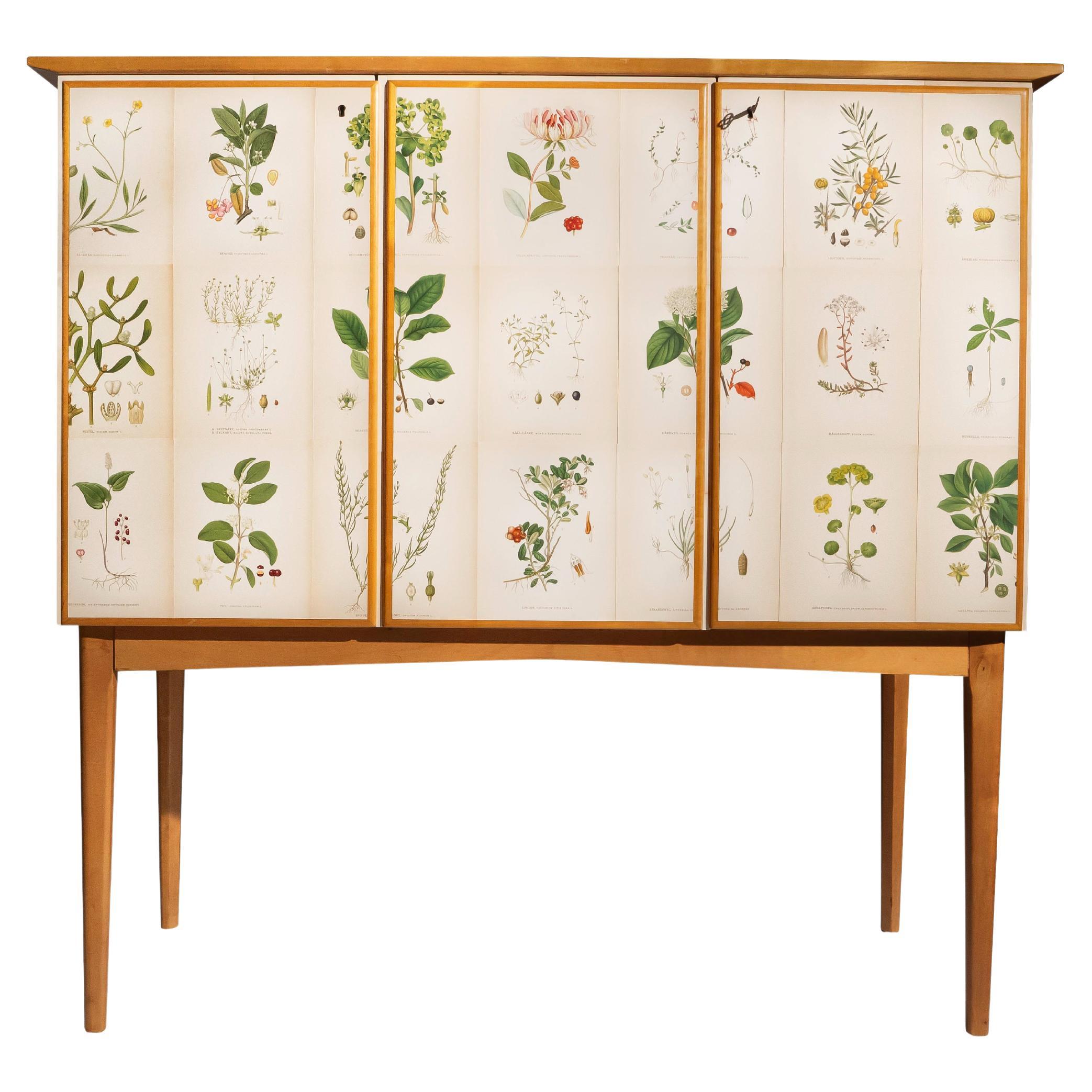 Swedish Elm Cabinet with Nordens Flora Illustrations, Josef Frank Style
