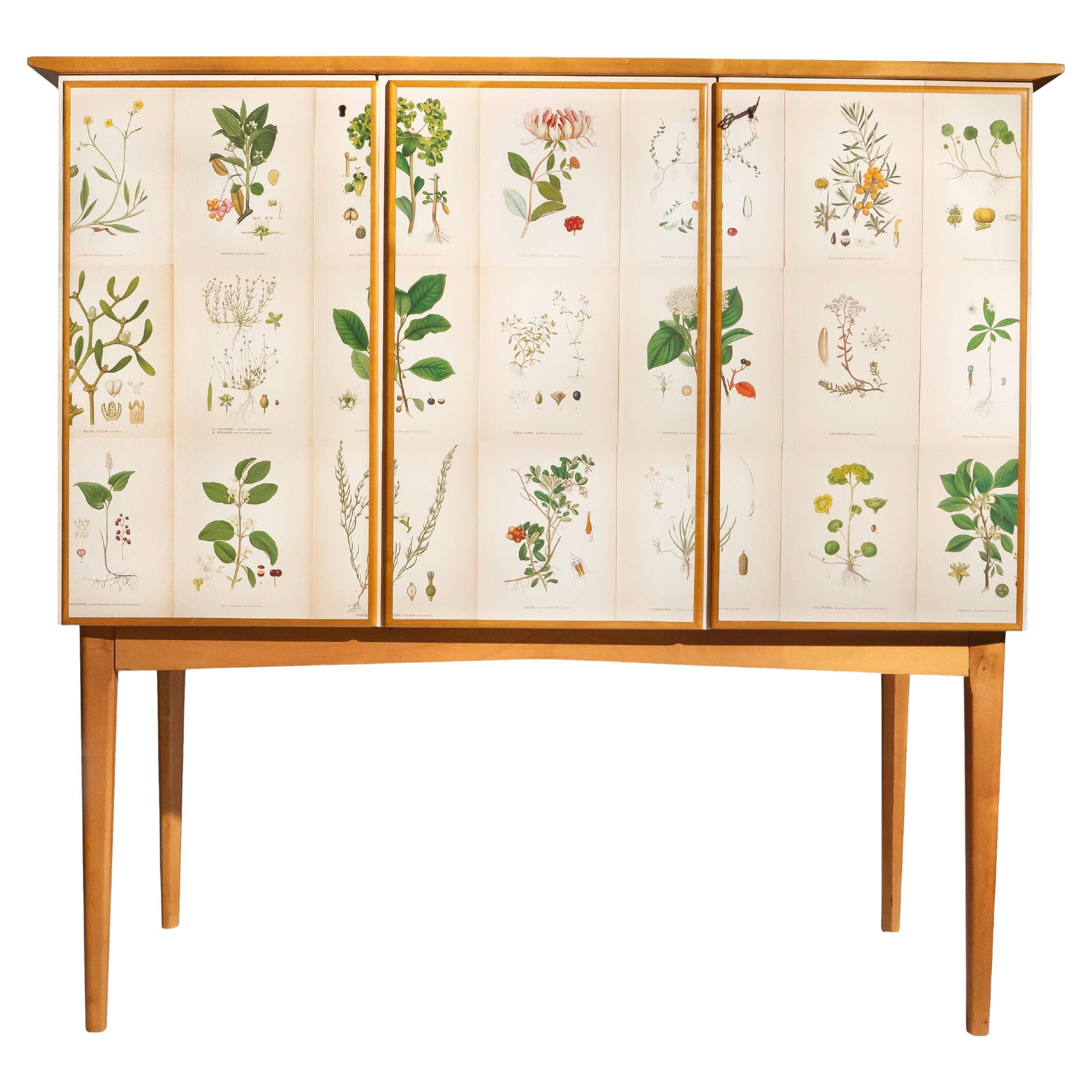 Swedish Elm Cabinet with Nordens Flora Illustrations, Josef Frank Style