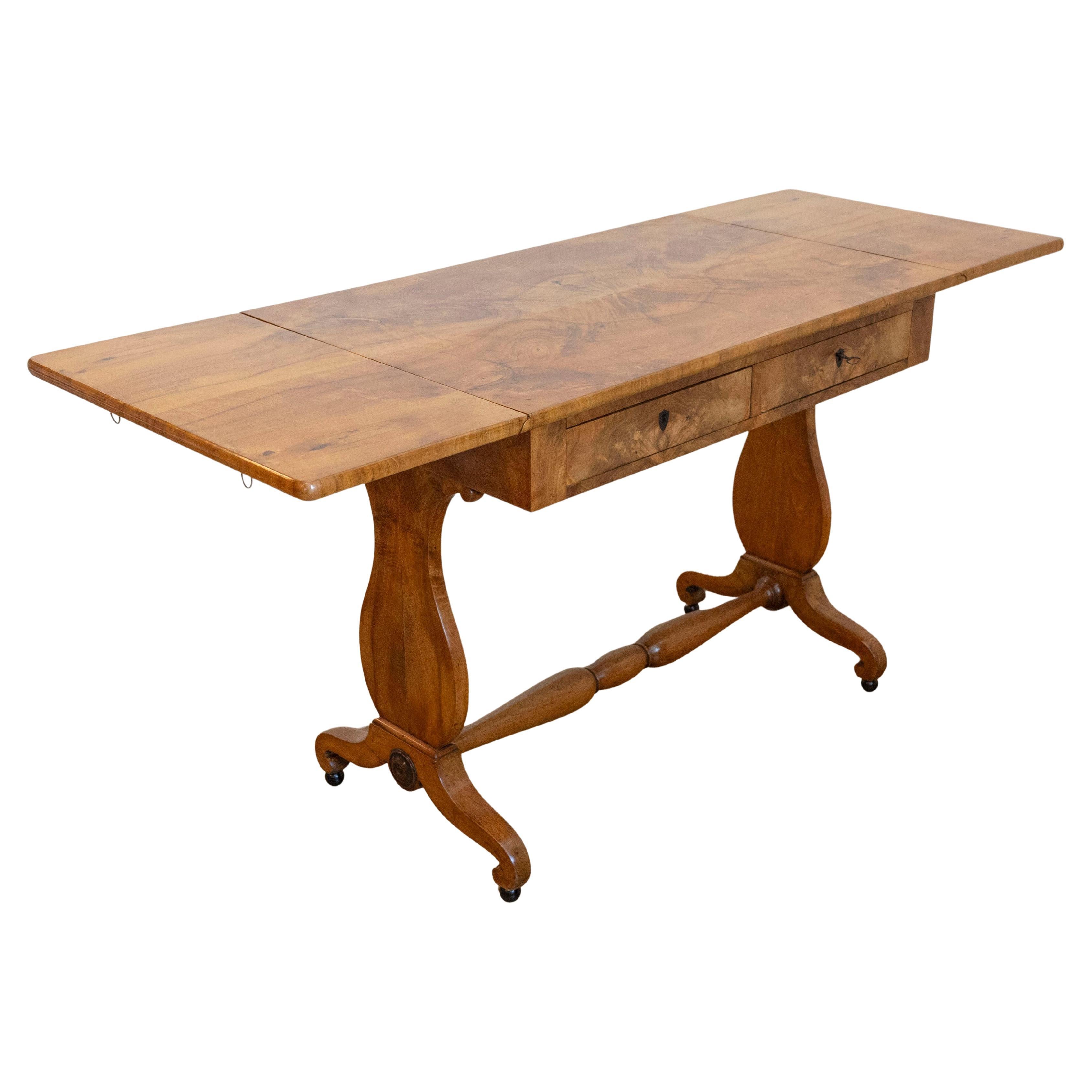 Swedish Empire Revival 1870s Birch Sofa Table with Drop Leaves and Carved Legs For Sale