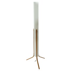 Swedish Floor Lamp by Eskilstuna Armatur, 1950s