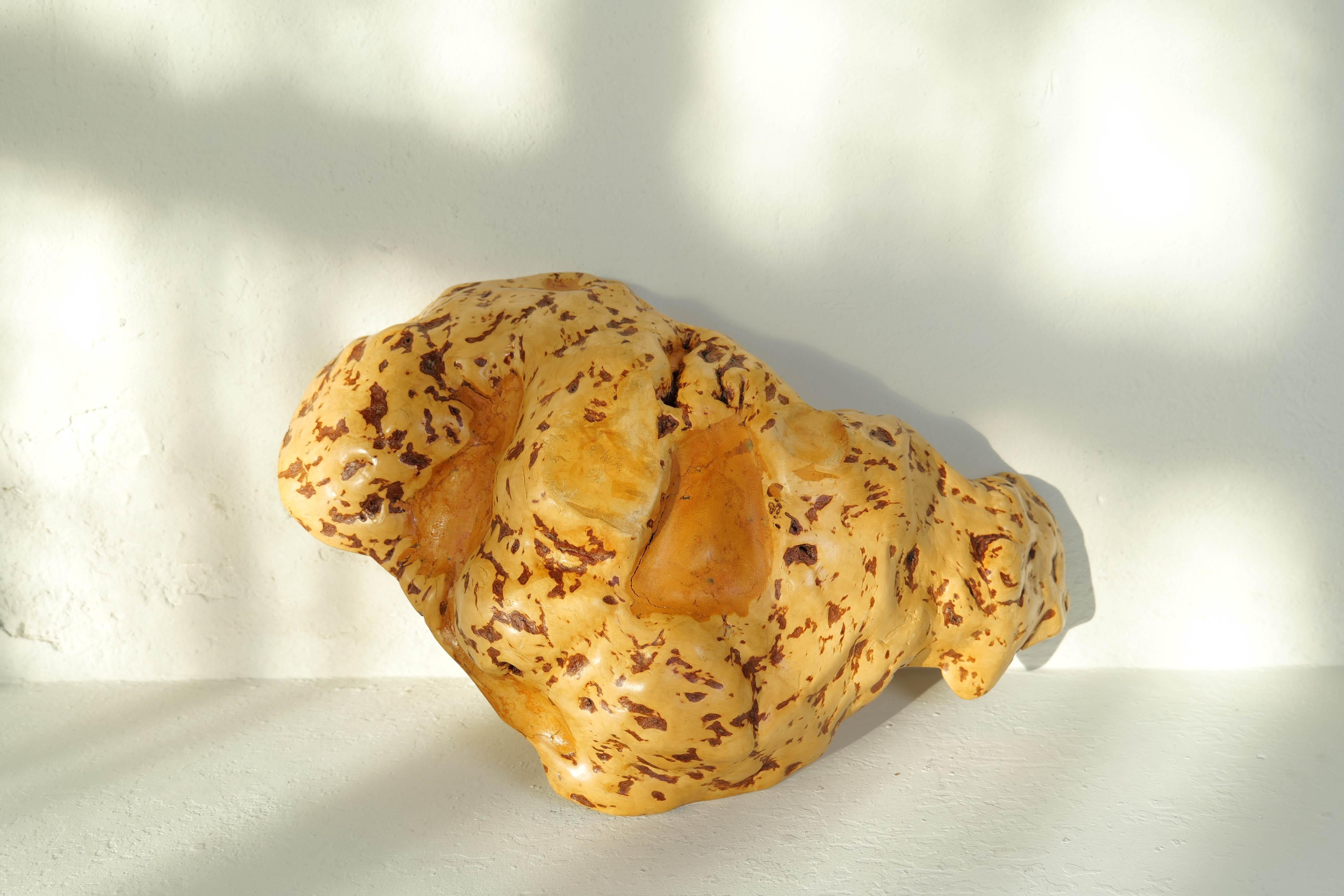 Grand bol de bouleau bouclé en broussin organique suédois Folk Art des années 1980 en vente 6
