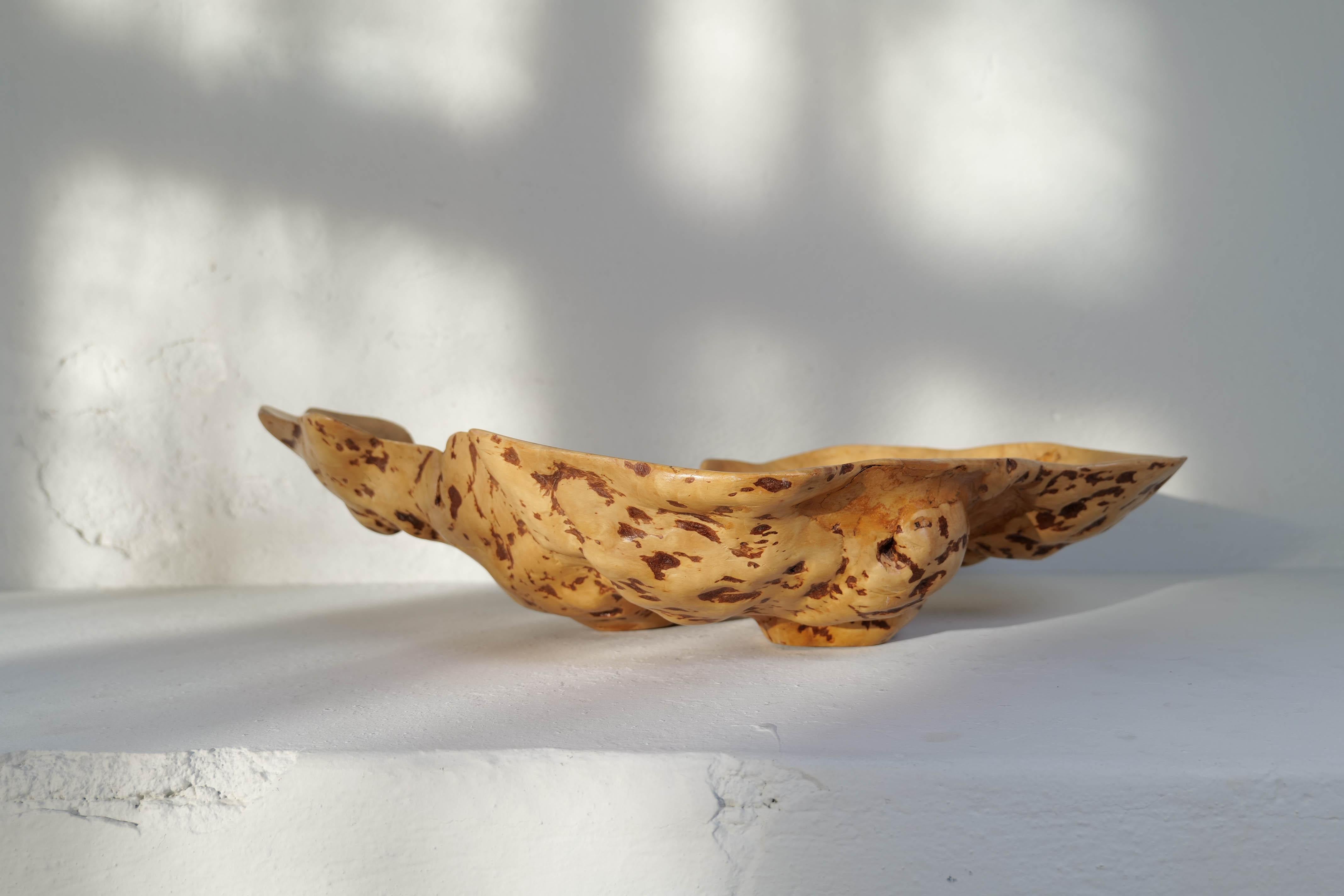 Scandinave moderne Grand bol de bouleau bouclé en broussin organique suédois Folk Art des années 1980 en vente