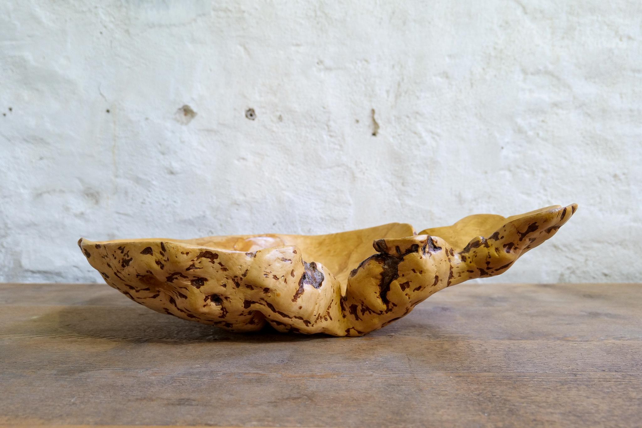 Swedish Folk Art Exeptional Large Organic Burl Curly Tiger Birch Bowl, 1980s In Good Condition For Sale In Hillringsberg, SE