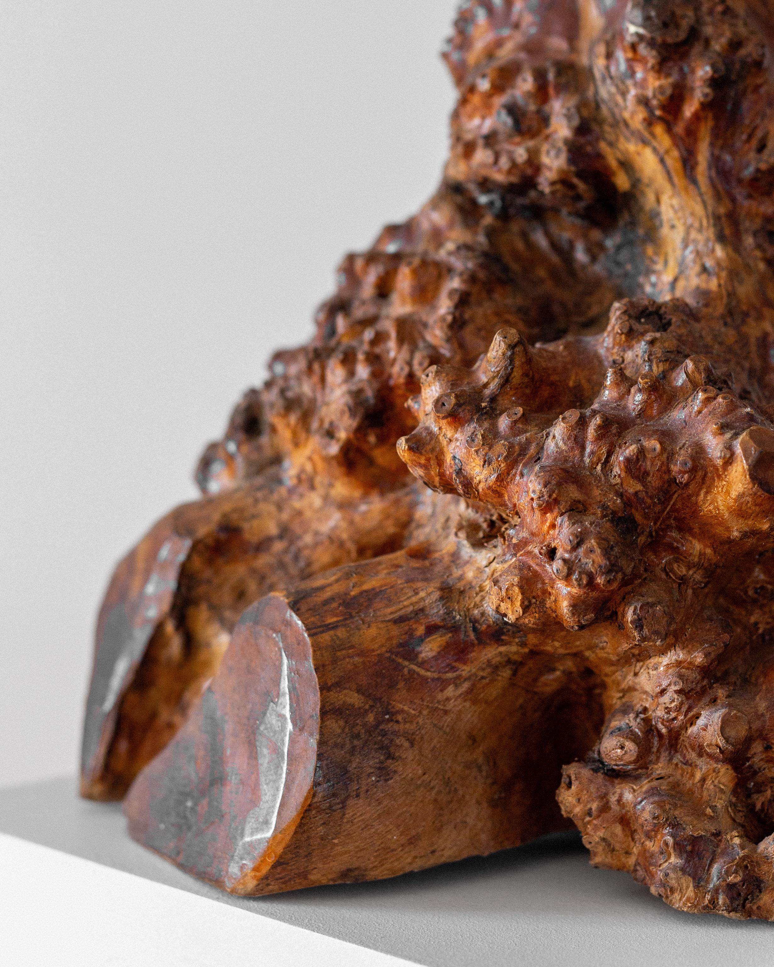 Metà XX secolo Lampada da tavolo svedese in legno di radica a forma libera, design scultoreo moderno di metà secolo in vendita