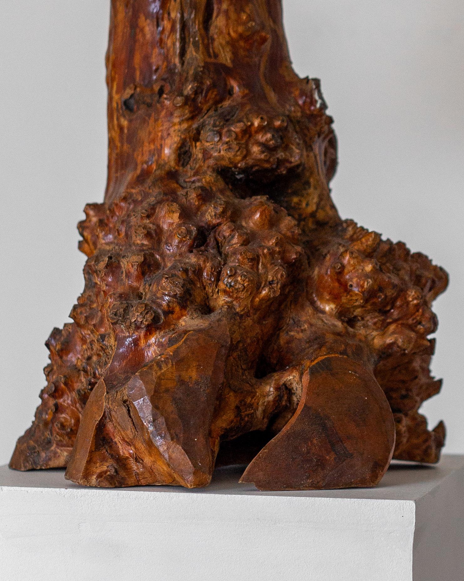 Legno Lampada da tavolo svedese in legno di radica a forma libera, design scultoreo moderno di metà secolo in vendita