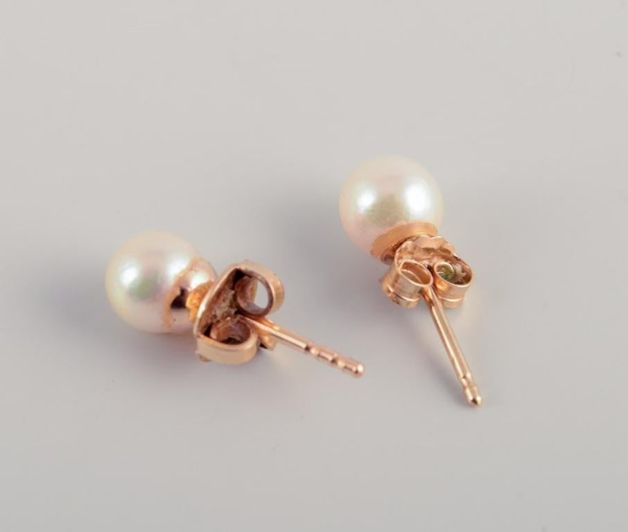 Orfèvre suédois. Une paire de clous d'oreilles en or avec des perles de culture. Milieu du 20e siècle. Pour femmes en vente