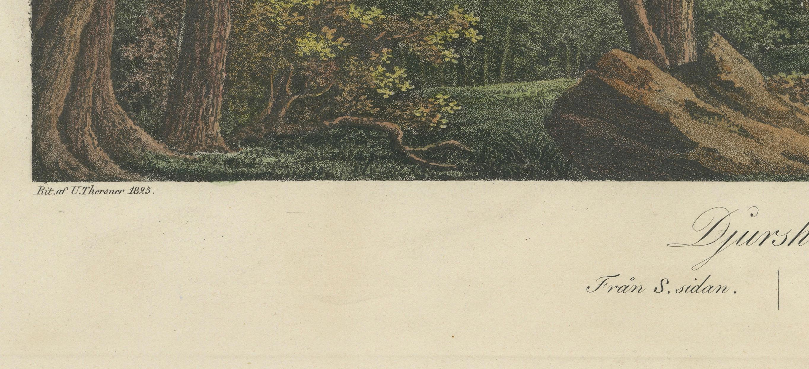 Schwedische Grace and Grandeur: The Aquatinta Legacy of Ulrik Thersner, 1825 im Zustand „Gut“ im Angebot in Langweer, NL