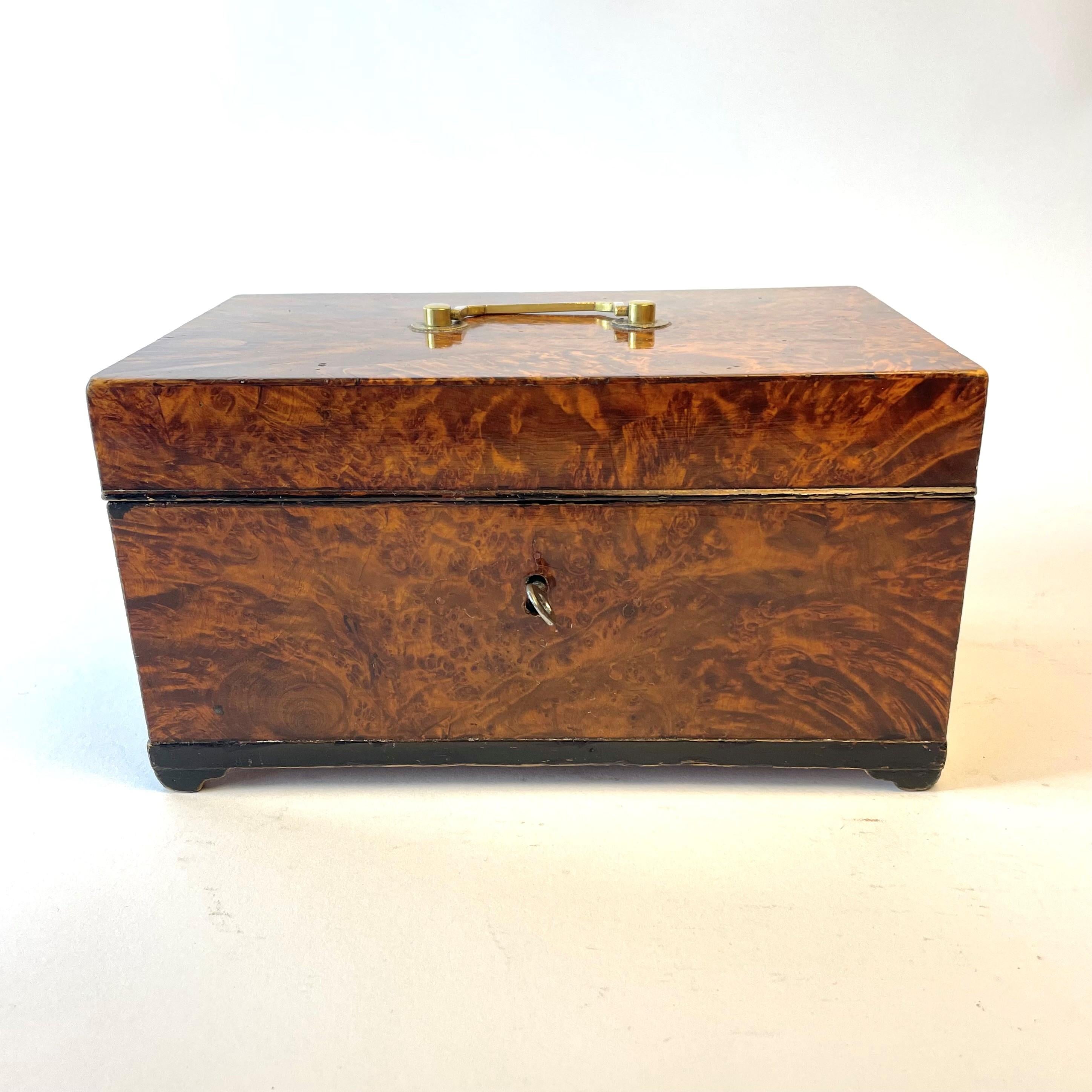 Swedish Gustavian Box in Alder Root In Good Condition In Knivsta, SE