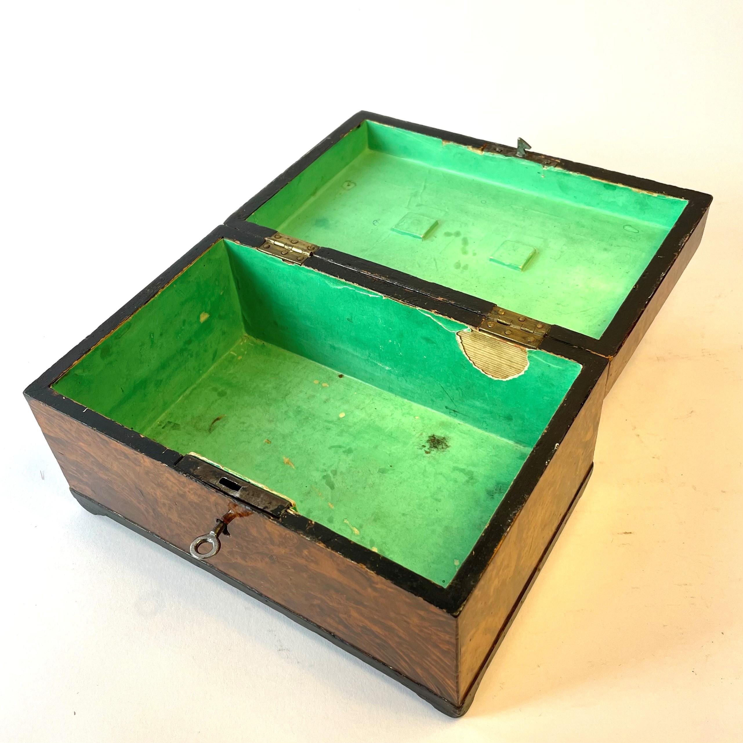 Swedish Gustavian Box in Alder Root 1