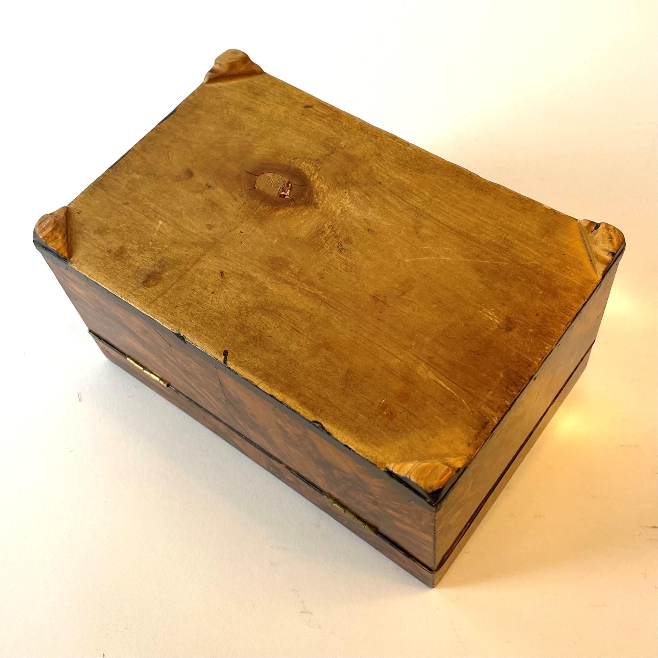 Swedish Gustavian Box in Alder Root 2