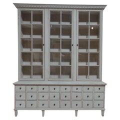 Swedish Gustavian Style Apothecary Display Case