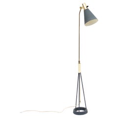 Swedish Height Adjustable Mid-Century Floor Lamp in Metal and Brass, 1950s