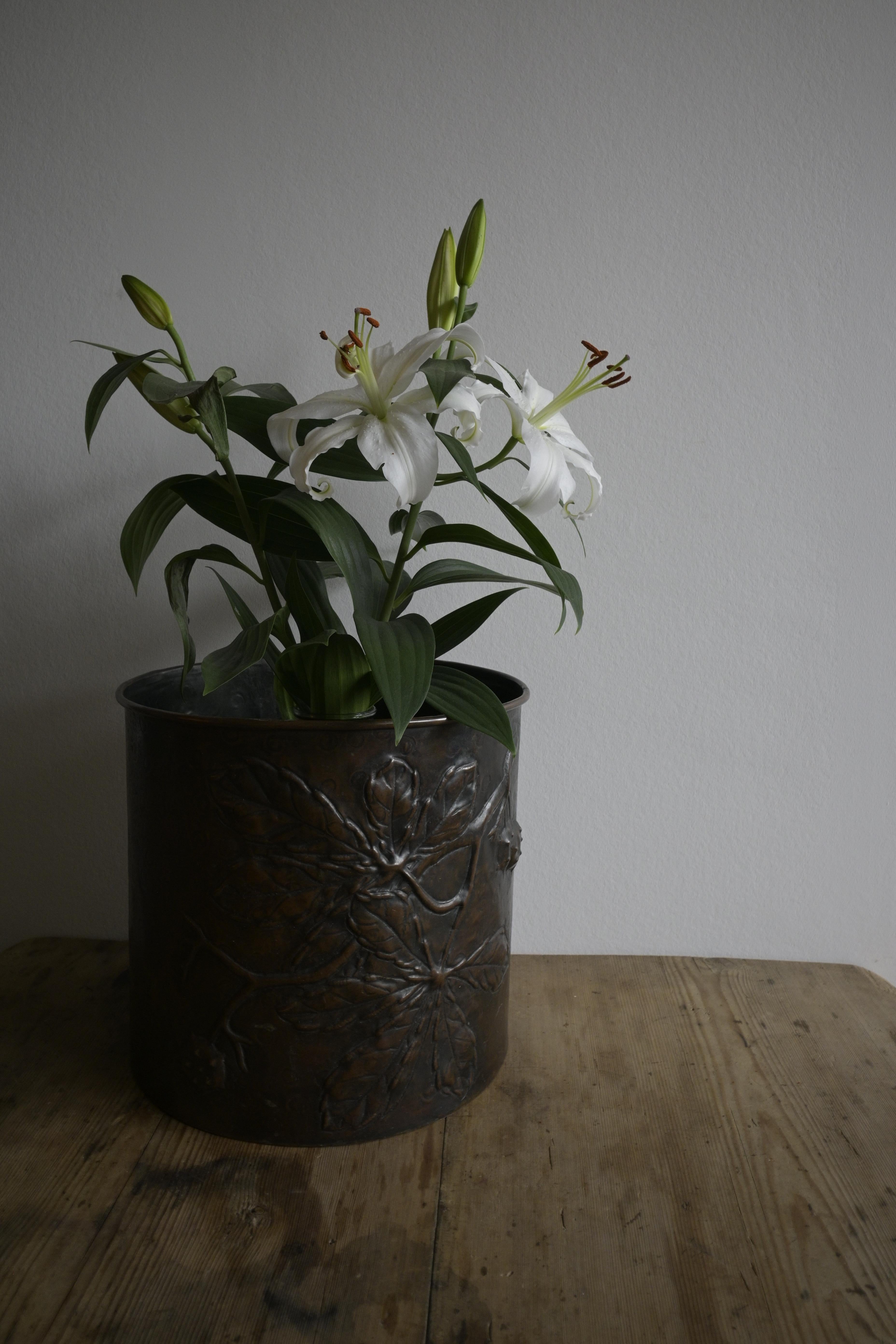 Botte di rame Jugend svedese Swedish Metal Art Ltd, 1905 ca. in vendita 3