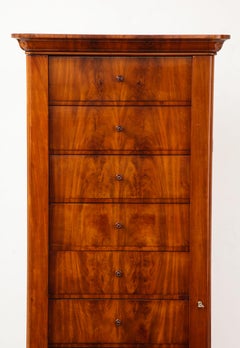 Swedish Karl Johan Mahogany "Wellington" Chest of Drawers, circa 1840s