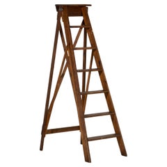 Antique Swedish library ladder was created in the 19th C.