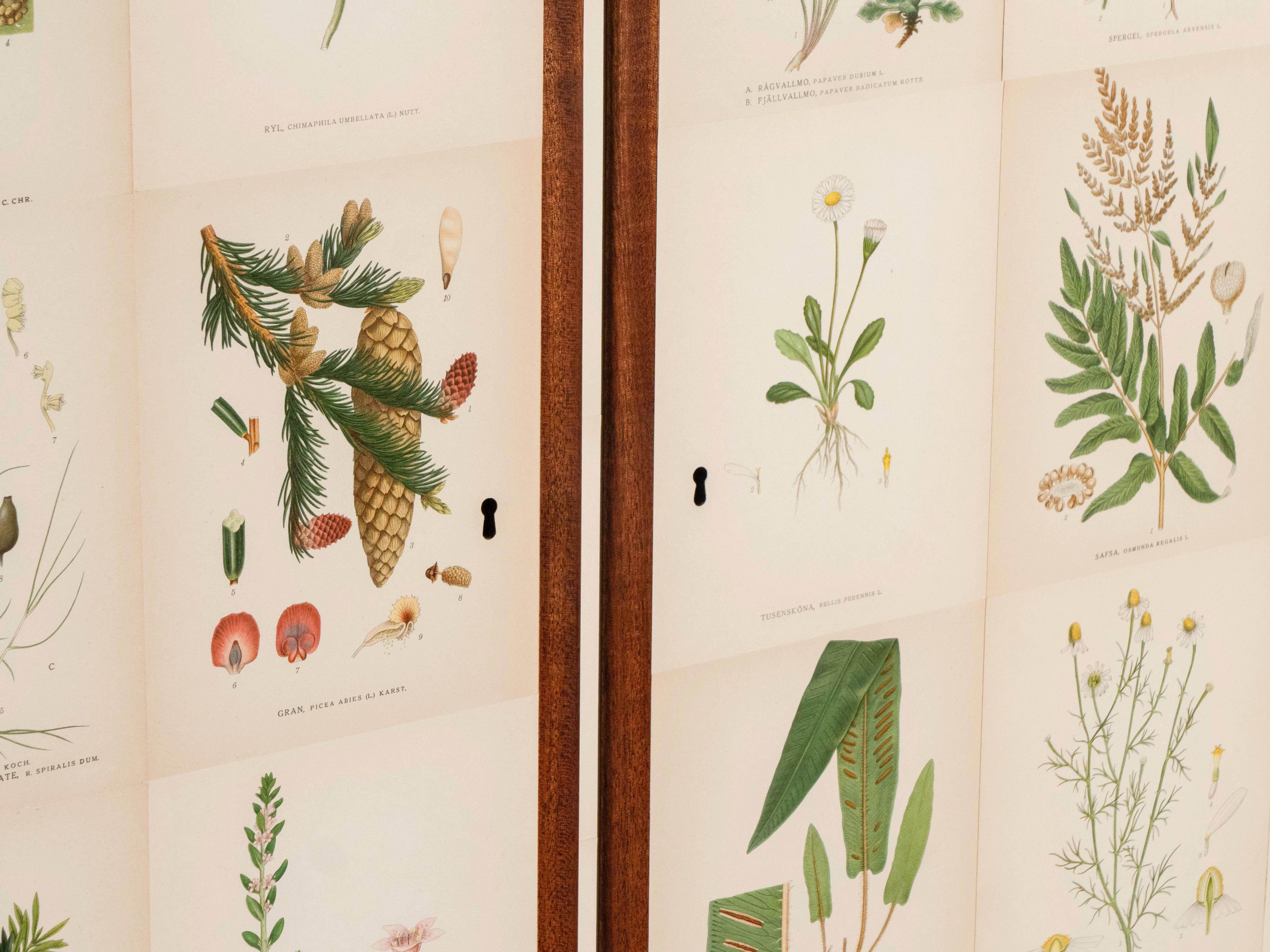 Flora svedese di Norden su mobile alto in mogano, stile Josef Frank anni '50 5