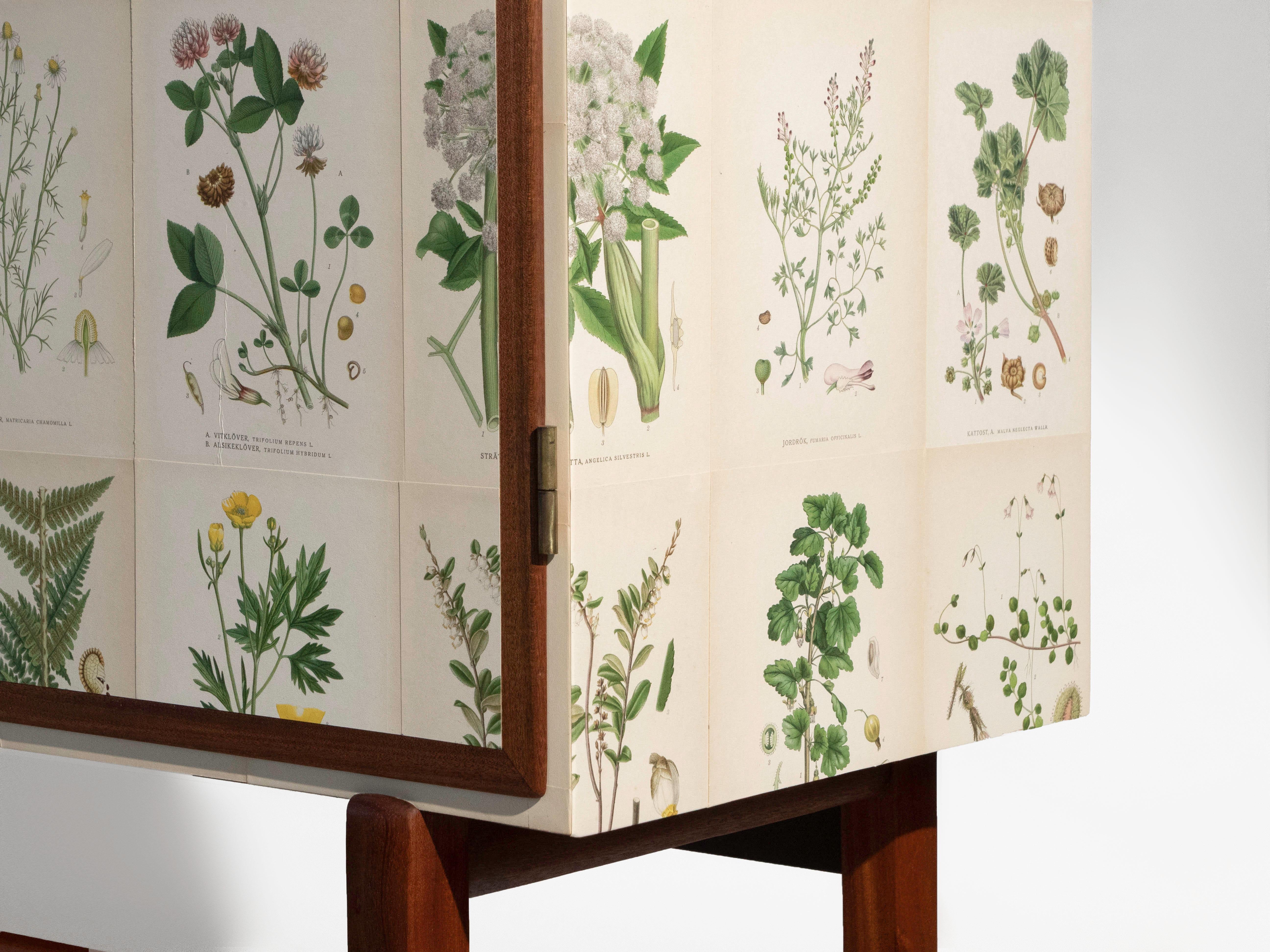 Flora svedese di Norden su mobile alto in mogano, stile Josef Frank anni '50 7