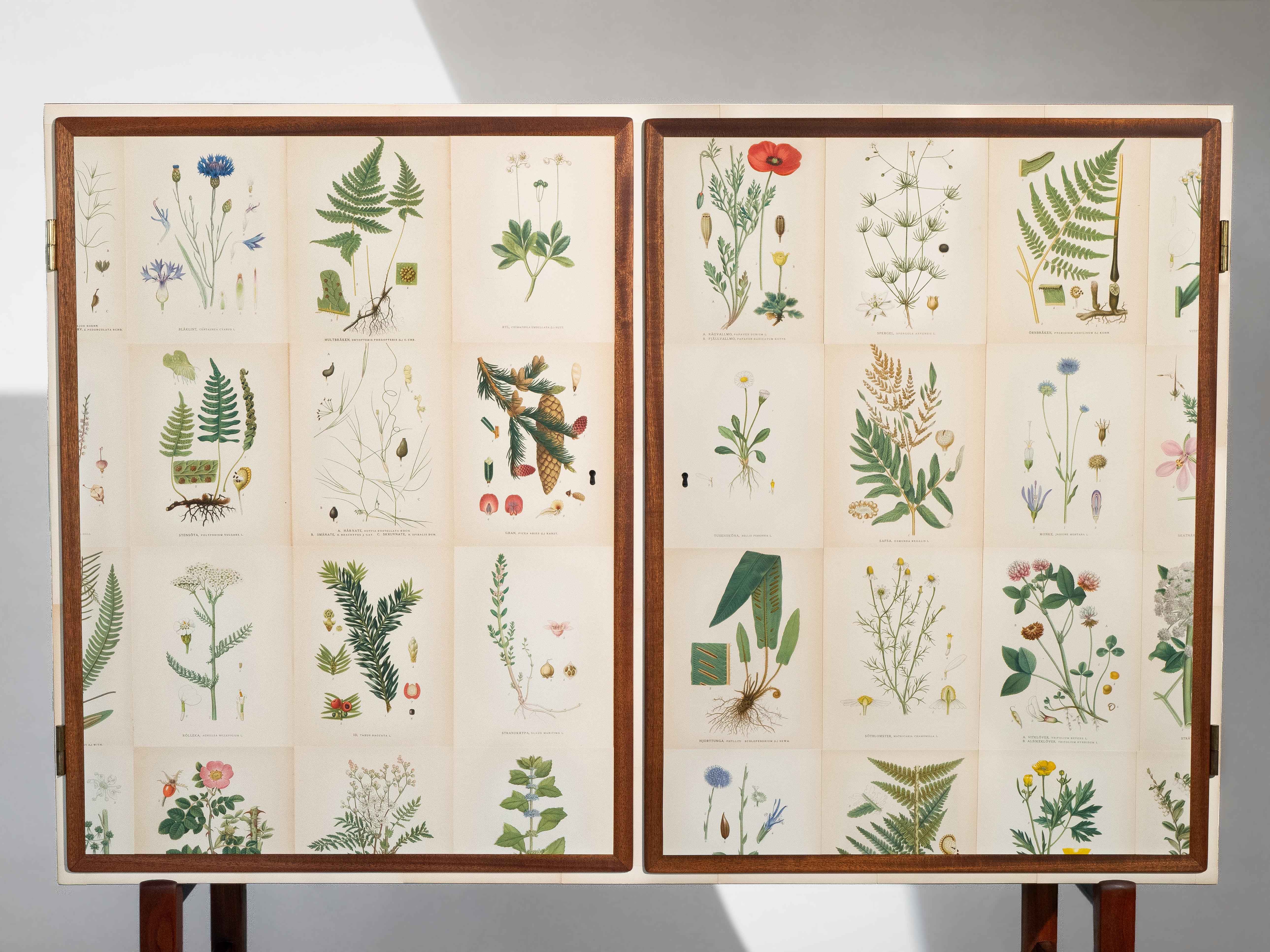 Scandinavo Flora svedese di Norden su mobile alto in mogano, stile Josef Frank anni '50 in vendita
