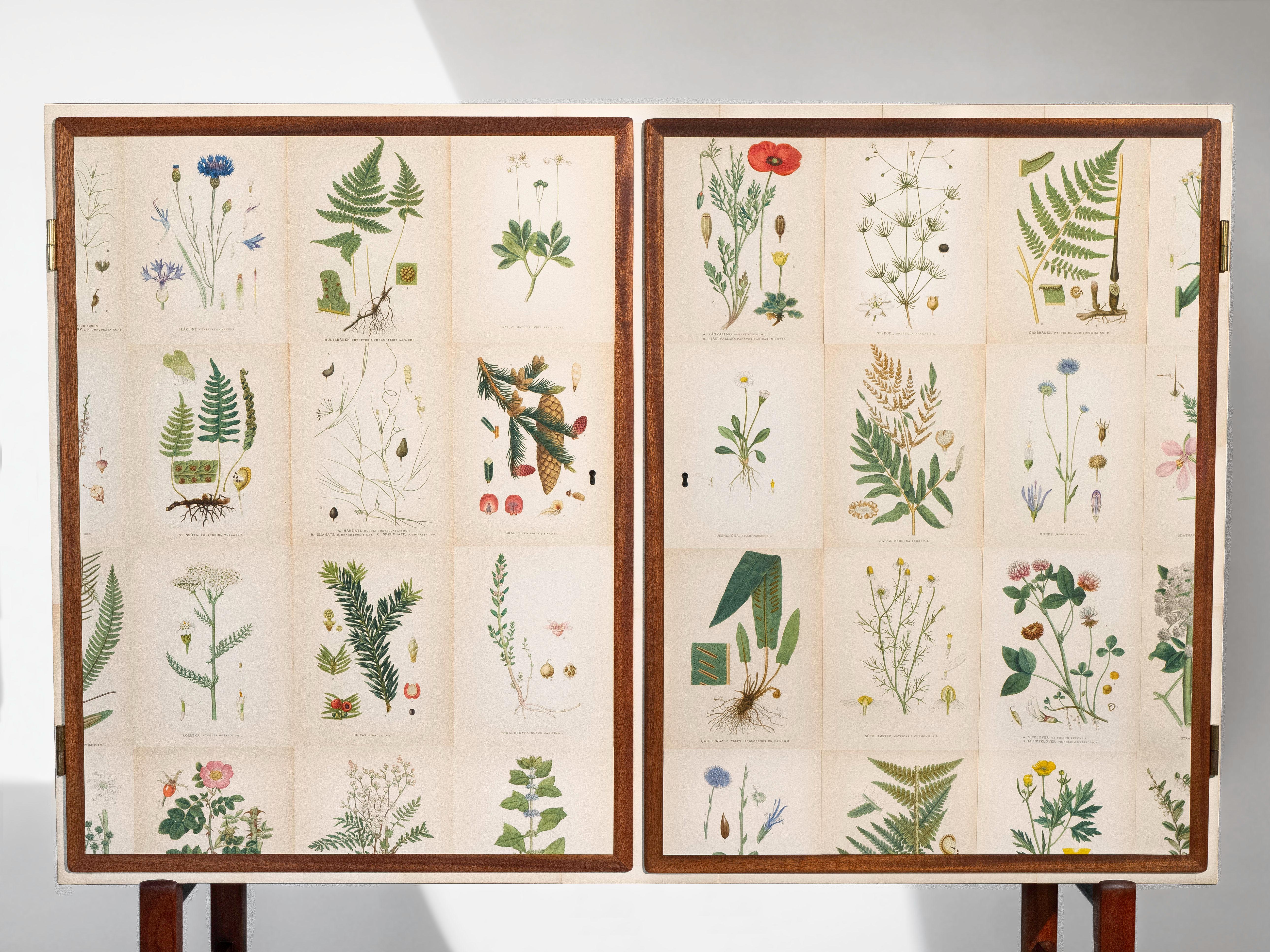 Scandinavo moderno Flora svedese di Norden su mobile alto in mogano, stile Josef Frank anni '50