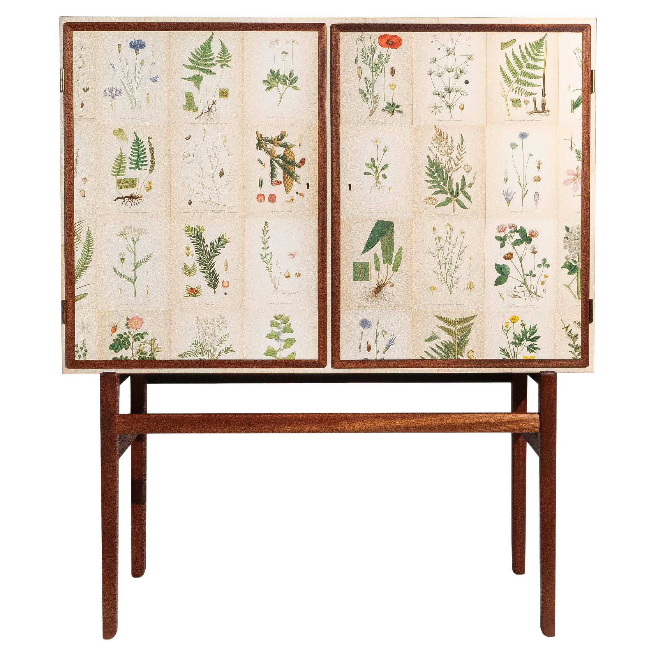 Swedish Mahogany Cabinet with Norden's Flora Illustrations, after Josef Frank